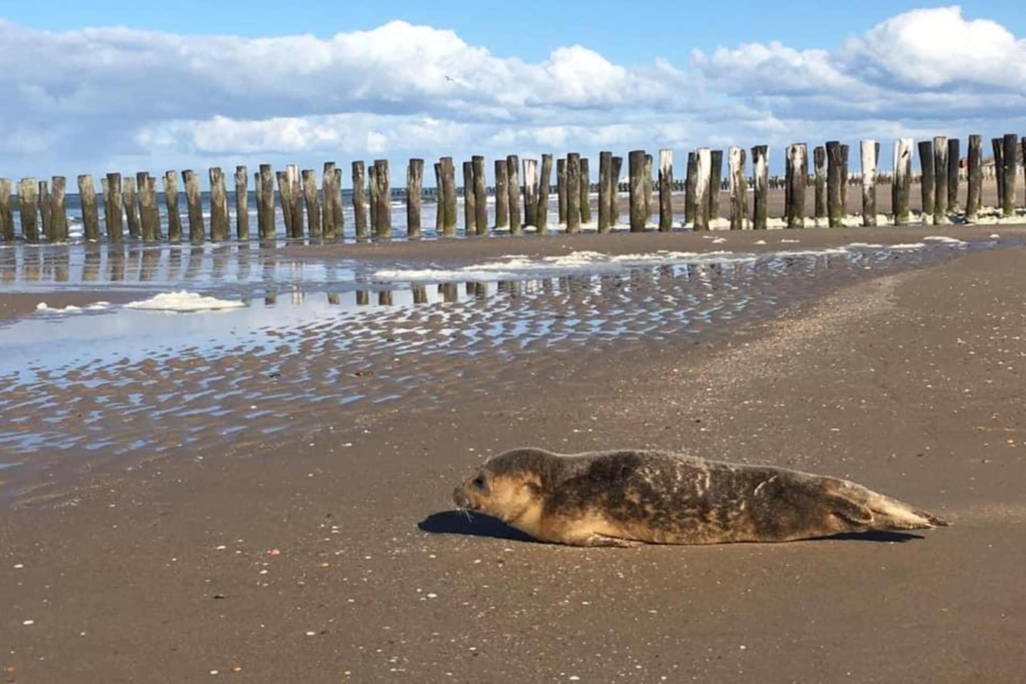 Buitenhof Domburg  16-Gebiete Sommer 20 km