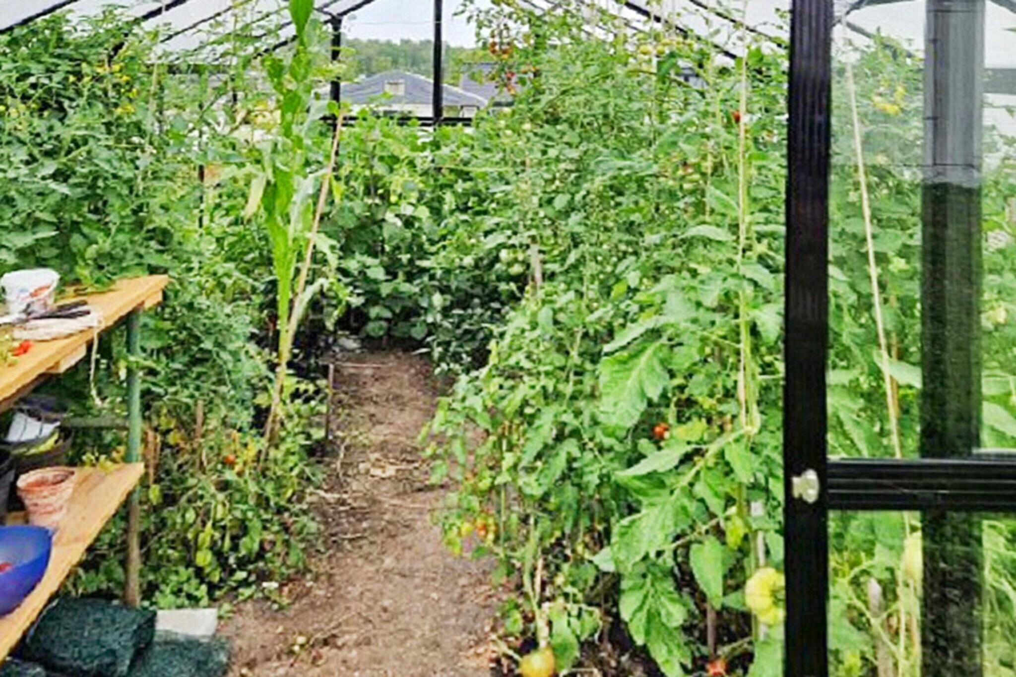 6 person holiday home in ADELSÃ–-By Traum