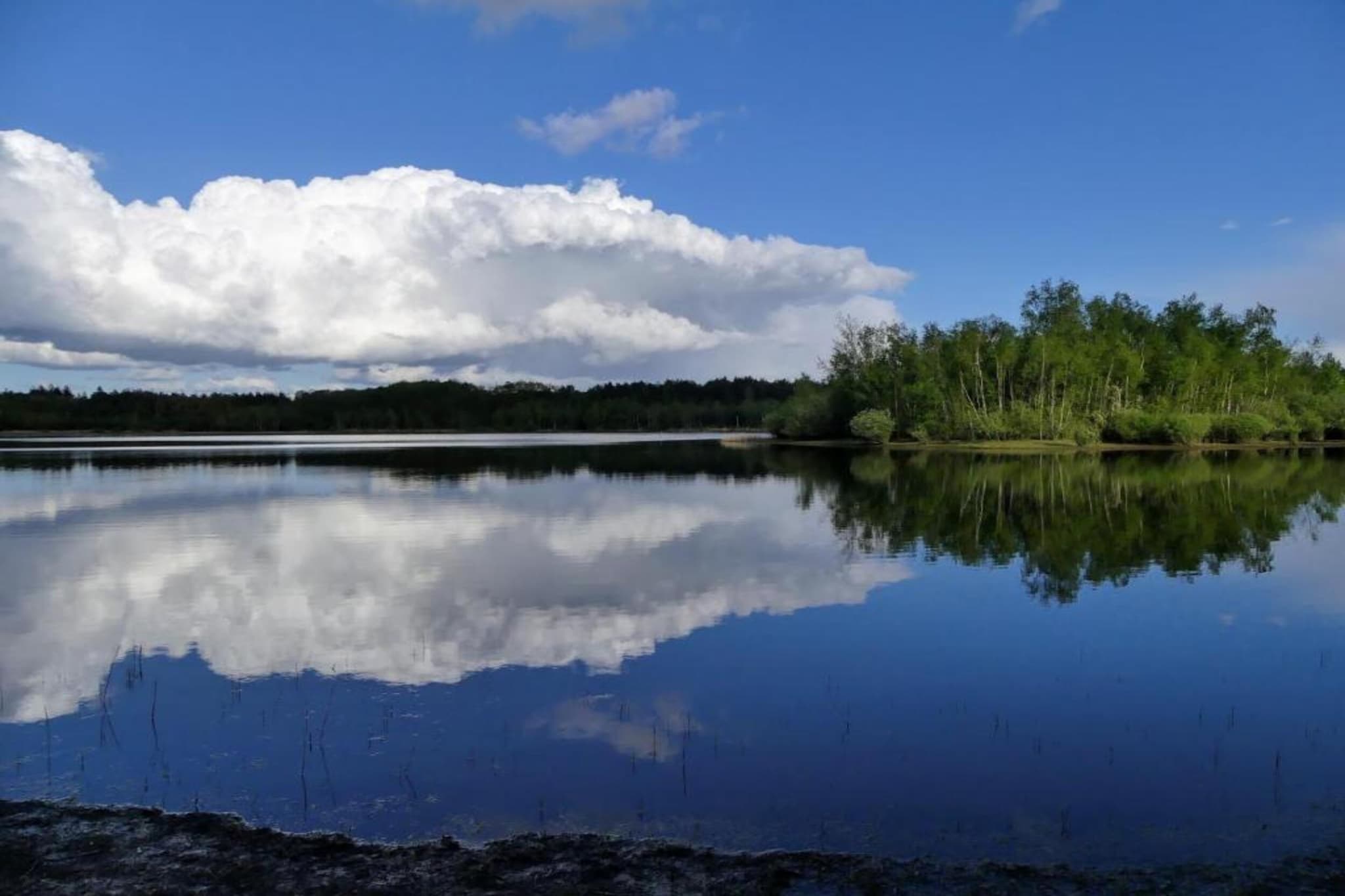 Chalet Alkenhaer nr 35-Areas summer 20km