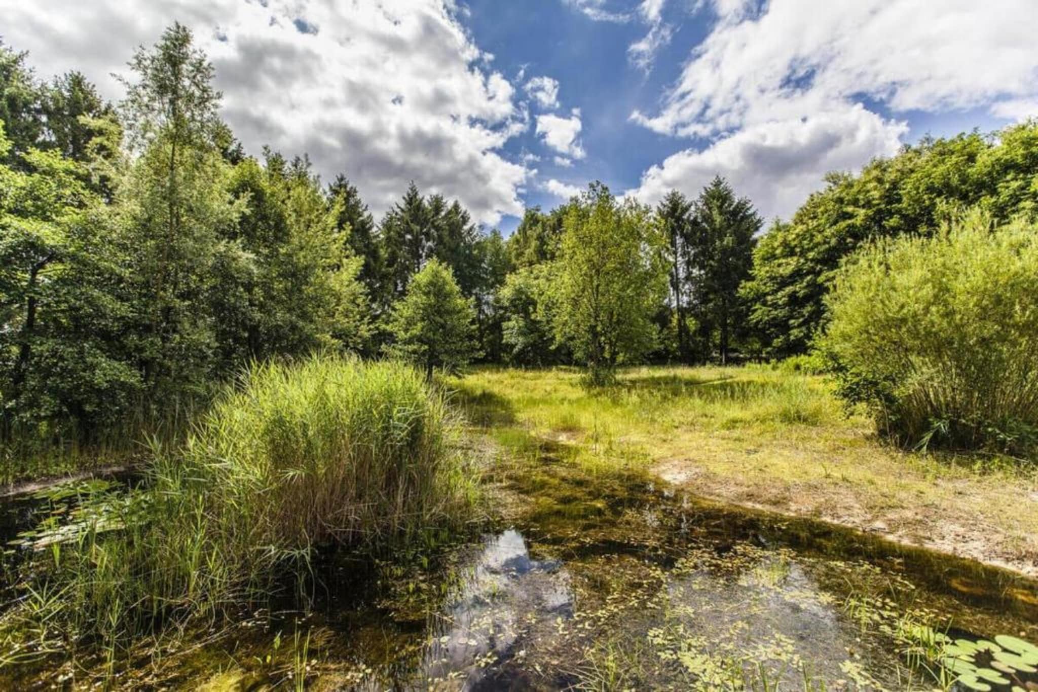 Chalet Alkenhaer nr 35-Areas summer 20km
