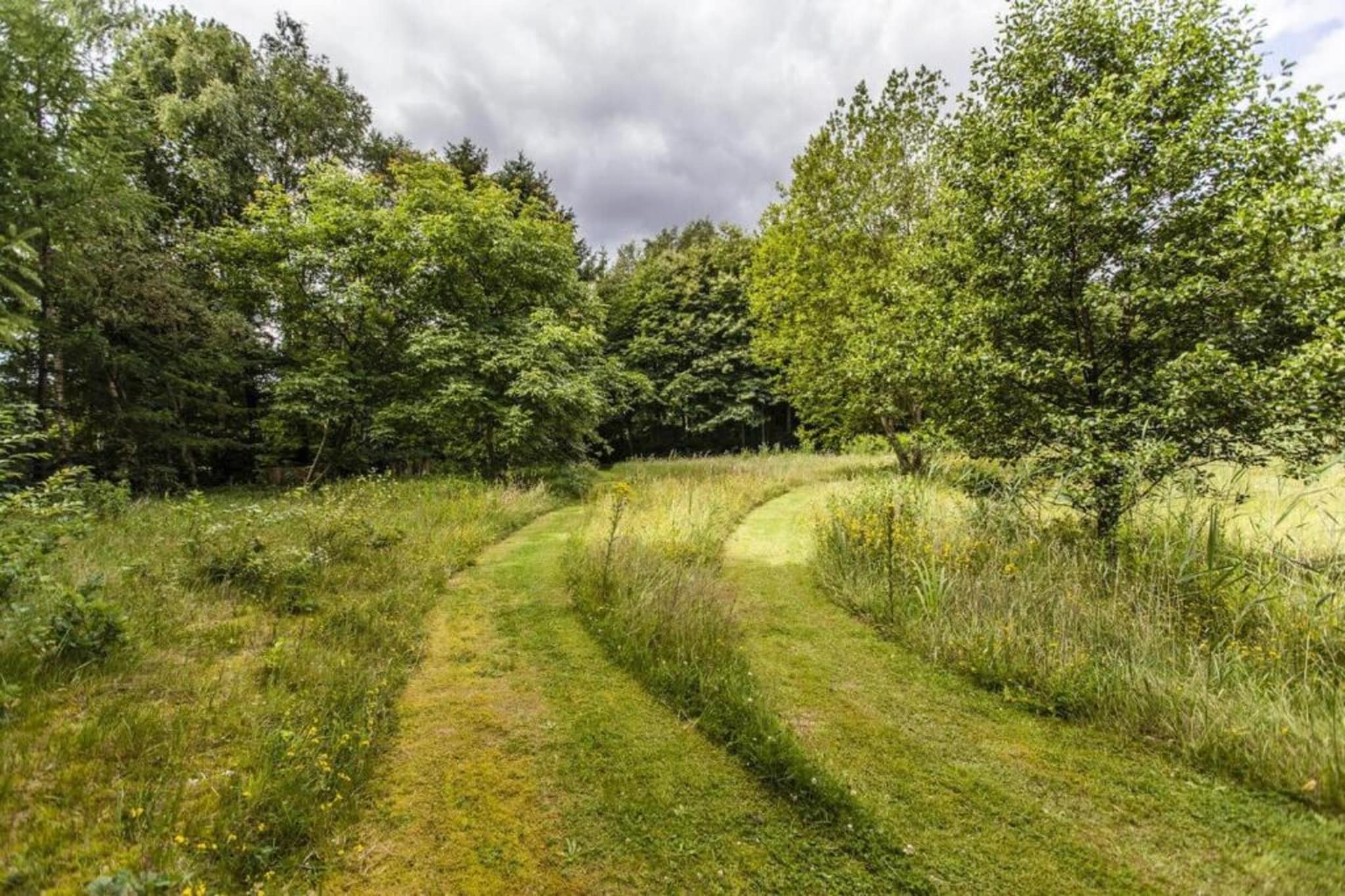 Chalet Alkenhaer nr 35-Areas summer 20km