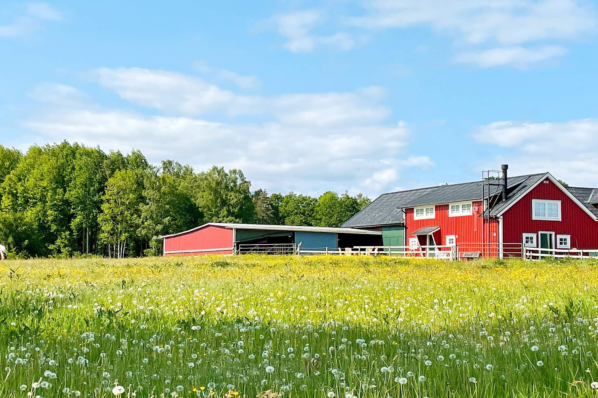 Welcome to lovely accommodation located right next to Lake VÃ¤nern. A nice and charming house located on a farm with a view of the sparkling lake and beautiful nature. Here you have very pleasant accommodation and access to your own swimming area. For those who want more speed and life, Sikall's campsite is only a short distance away with a larger swimming area. This accommodation is ideal for the larger family or group with up to 8 beds. You live very idyllically in a scenic rural environment, where the horses Frasse and Baby graze outside together with the cows in the pasture. The house is on a farm run by the owner who lives in the house in front and who takes good care of you. You enter the gable and enter a hall. Directly to the left is the house's one bedroom. Here are two bunk beds with 4 beds. Perfect for the children/young people who want to be on their own. Directly adjacent to the bedroom is a bathroom with shower cabin, wc and sink. Directly in front of the hall is a laundry room with both dryer and washing machine. So if you want to stay longer or, for example, travel with small children, this is very good. Take the stairs up and you will reach the upper level. The house is bigger than you think and here there are large living areas for good company. To the left of the stairs is the house's second bedroom. The bedroom is large and has a double bed of 180 cm with a view of the meadow and you can glimpse the lake. Adjacent is the house's second bathroom with both a shower cubicle, bathtub, wc and sink. The large living room is homely and has a warm feeling. A stove is available for chilly evenings. Up here you can see the lake below through the windows. With a small landing and open floor plan you get down to the kitchen area. The kitchen is large and nothing is missing here. A well-equipped kitchen with plenty of accessories and a dining area. The two kitchen tables can be moved together if desired. After you have passed the kitchen, you come to the house's last bedroom. In here there is a double bed of 180 cm and a balcony door. Here you can go out and have your first cup of coffee in the morning and greet the horses. If you want a motorboat, access to the dock house with dock, you can book this on site with the house owner. There is also another smaller bathing spot in a secluded bay only about 200 m away with a sandy beach. Both swimming areas are shared with the home owner. Remember that you can bring your own life jackets! Included in the house are also 4 bicycles for adults, 2 bicycles for young people, 3 bicycles for children. ATTENTION! Bring your own helmet. Here you live in a rural idyll and there are animals on the farm. The homeowner has a dog, cats, horses and cows. Do not feed the animals in the pasture and show consideration for everyone who lives on the farm regardless of whether they have two or four legs. For those of you who want to fish, it's great in VÃ¤nern, a fishing license is not needed, however, you must follow the fishing rules that exist. VÃ¤nern is an eldorado for anglers! Salmon, pike and zander live in the lake. To get the best fishing tips, please contact the house owner. Take the opportunity to take a trip to Halleberg and visit the royal hunting museum and the beautiful outdoor area in Hunneberg. Here you are offered various experiences such as hiking, coffee and magnificent nature. For those who like to swim, there are many bathing spots around. Sikhall, Gaddesanna and Ursand to name a few examples. Feel free to go to the town of TrollhÃ¤ttan and see the famous TrollhÃ¤ttefallen, the lock area, the SAAB museum. In VÃ¤nersborg, with its small-town charm, there are adventure pools (indoors) and cozy cafes. You are close to the border with Dalsland, a day trip to the west coast Ljungskile, Uddevalla or the big city of Gothenburg. Here you will have a great time and feel good. Welcome to a wonderful accommodation right next to beautiful Lake VÃ¤nern, Sweden's largest lake! NOTE: No bookings from companies and young people.