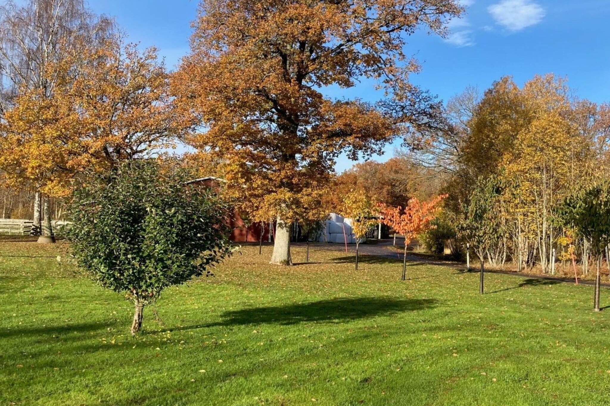 8 persoons vakantie huis in BRÅLANDA-By Traum - Buitenlucht