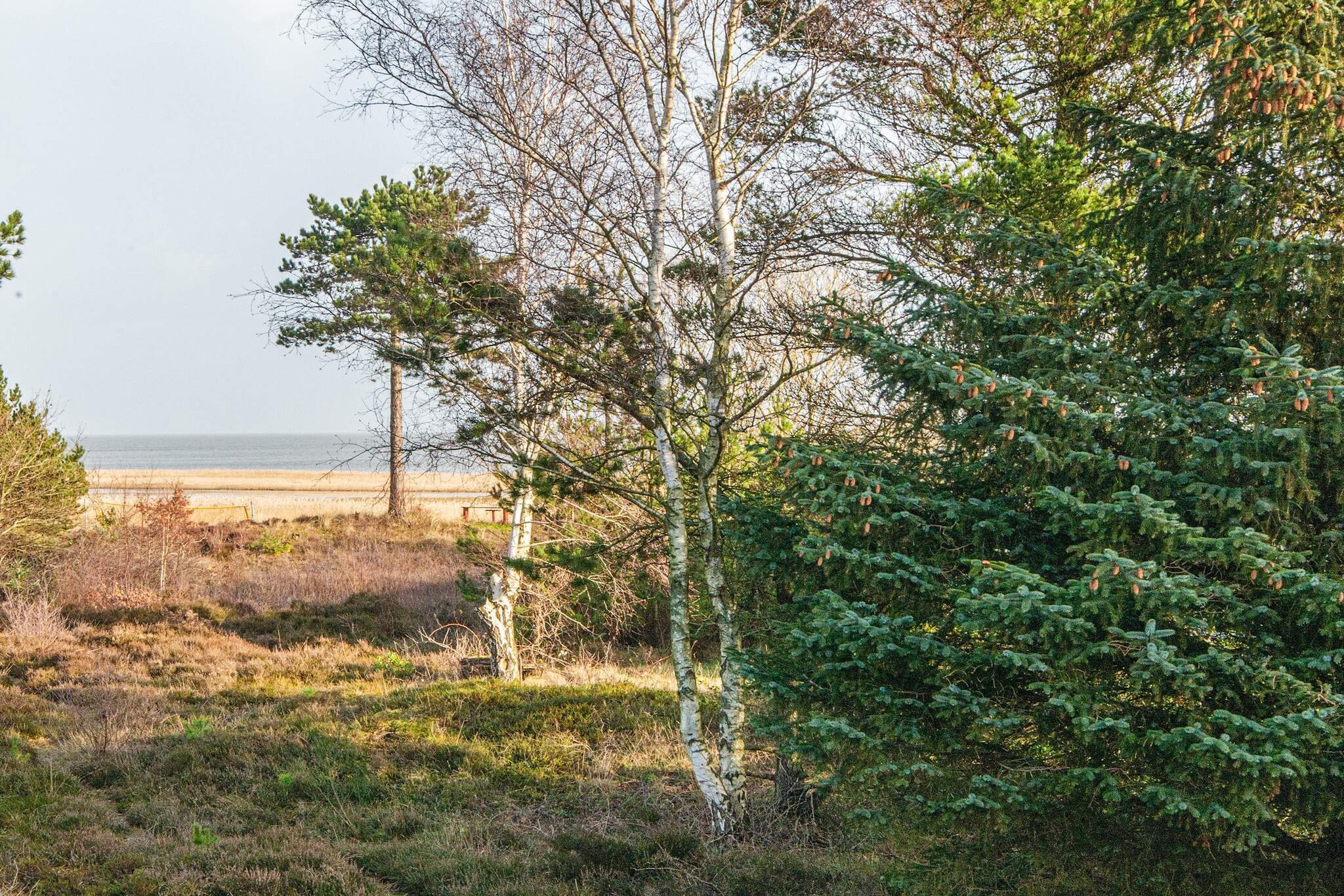 5 persoons vakantie huis in Rømø-By Traum