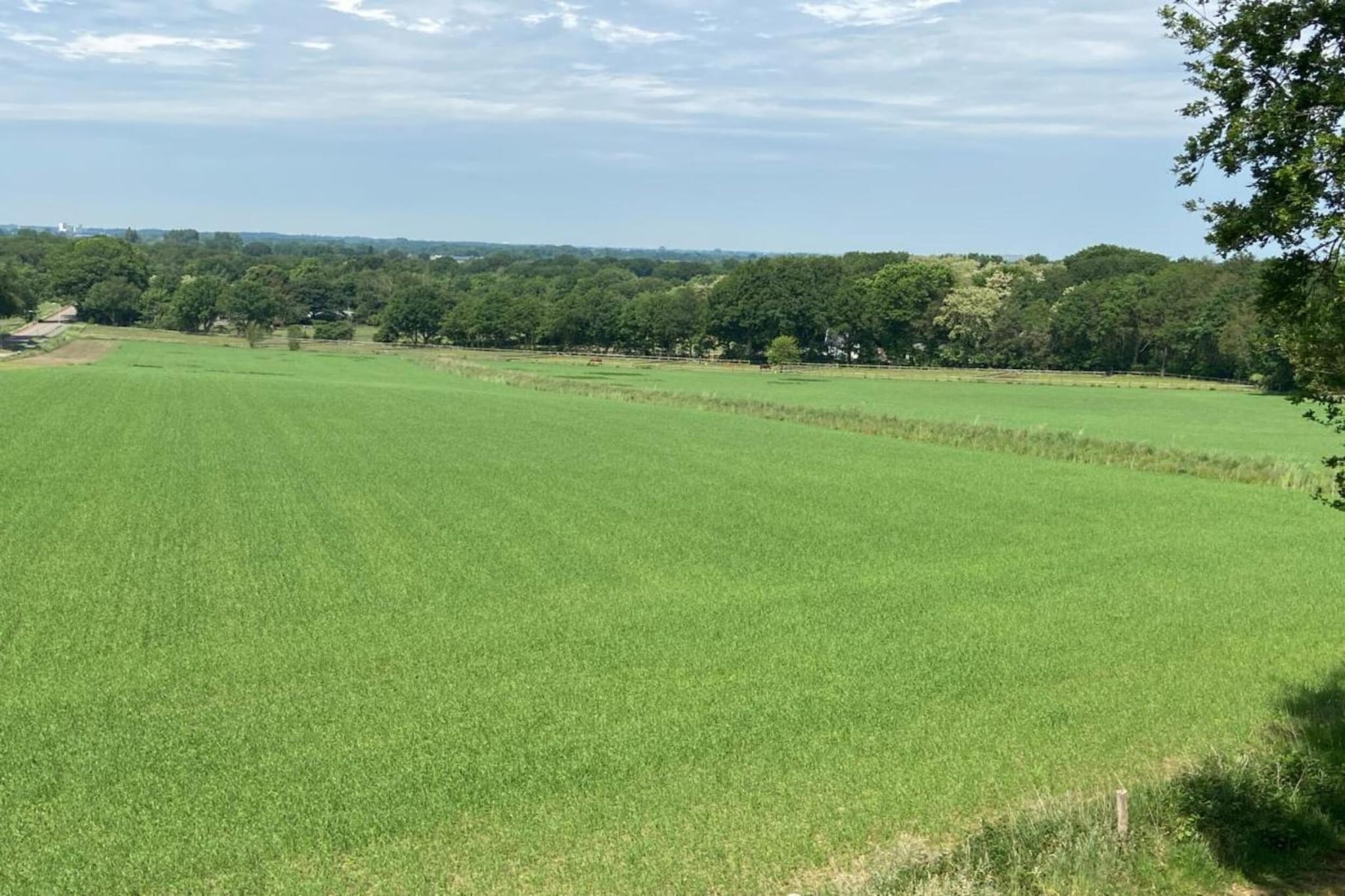 Landgoed De Scheleberg 43-Gebiete Sommer 20 km