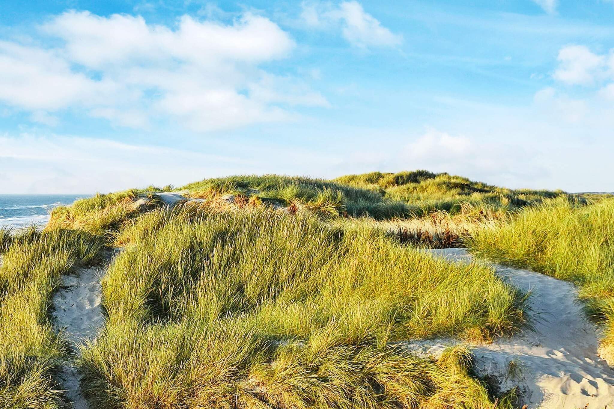 7 persoons vakantie huis in Hvide Sande-By Traum - Niet-getagd