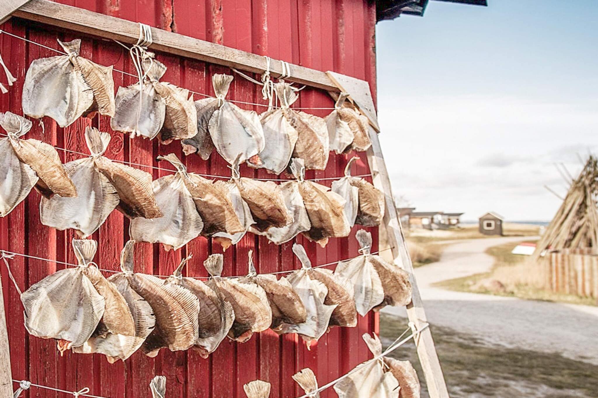 7 persoons vakantie huis in Hvide Sande-By Traum - Niet-getagd