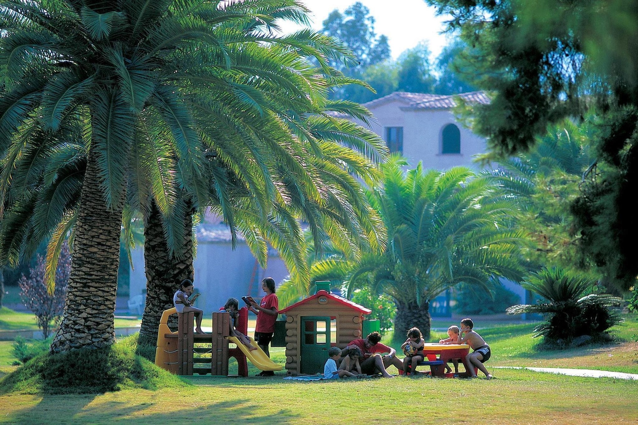 Garden Summer