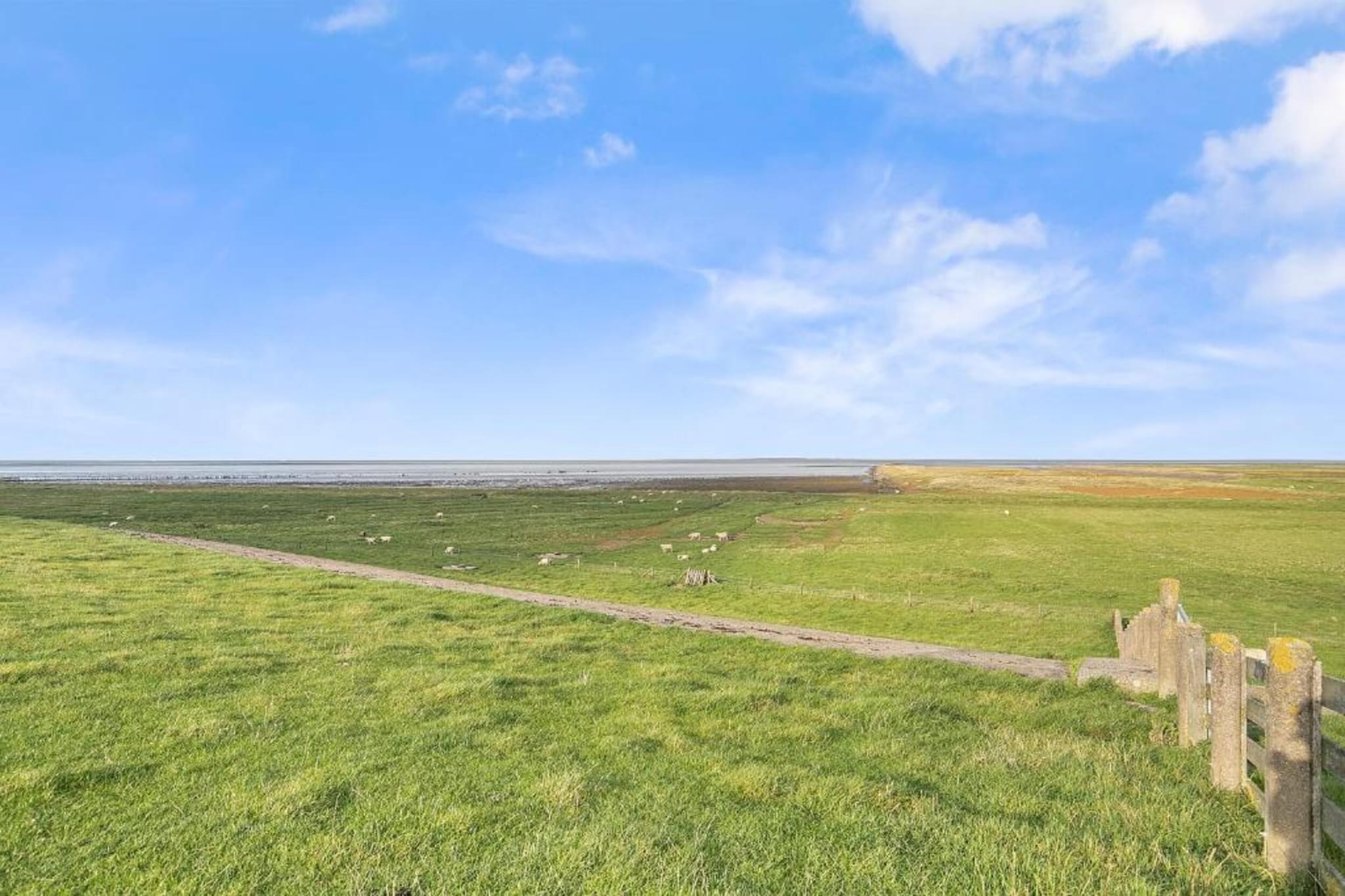 Friese Meren Villa's 21-Gebieden zomer 20km