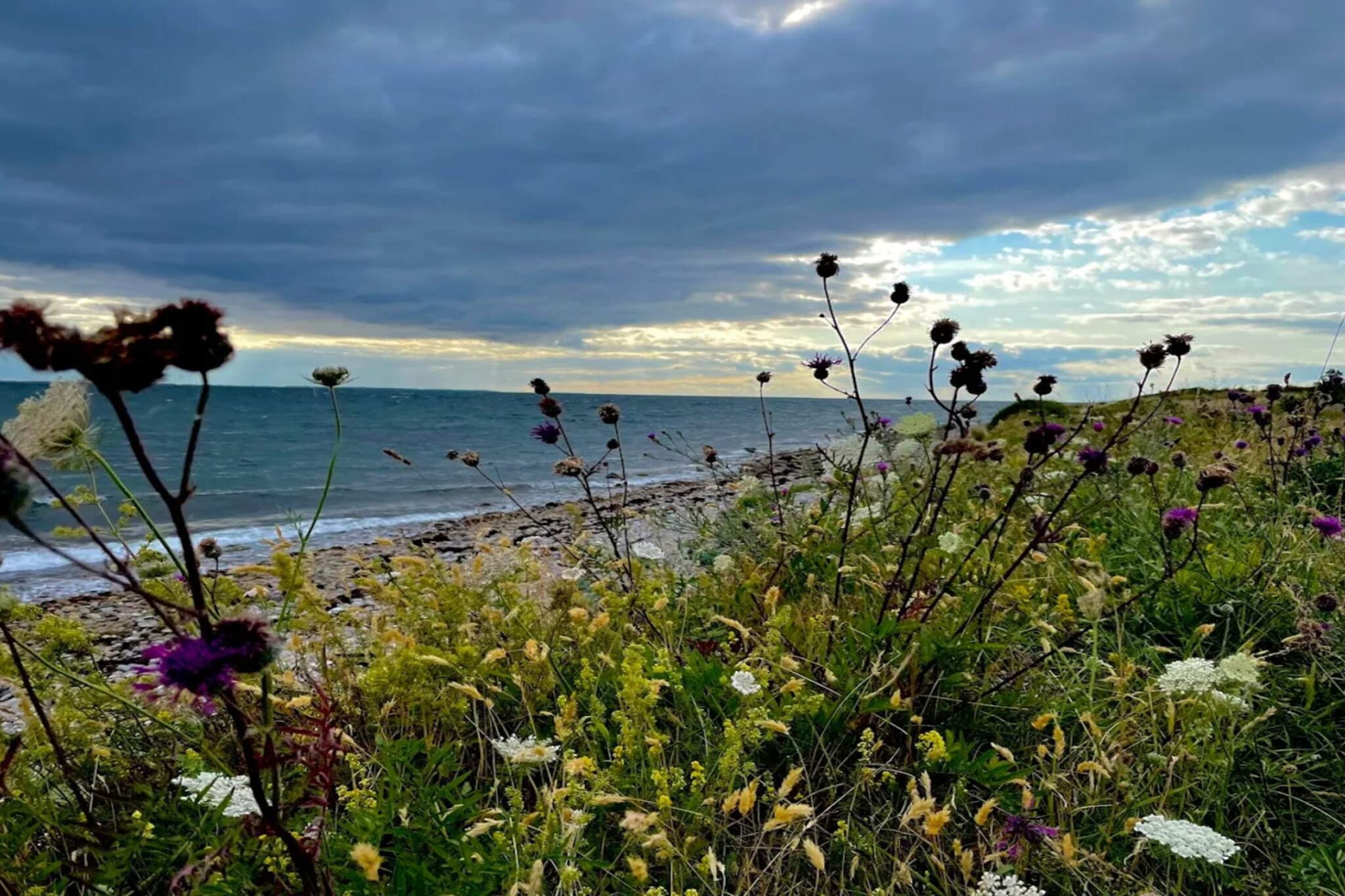 6 persoons vakantie huis in Martofte-By Traum-Waterzicht