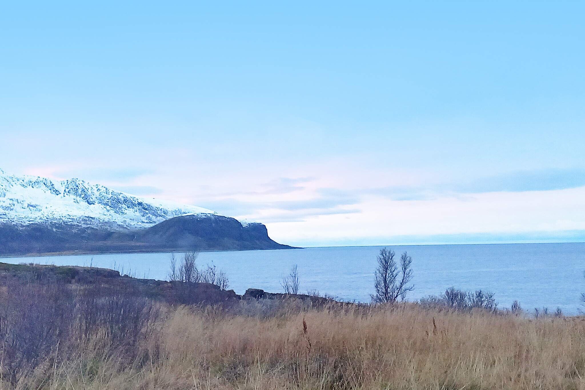 open kitchen(14 m2)(cooker(electric), hood, coffee machine(filter), waffle iron, microwave, dishwasher, fridge, freezer(> 250L), washing machine), Living/bed room(55 m2), bedroom(single folding bed, double bed), bedroom(single bed), bedroom(double bed), bedroom(double bed), bathroom(floor heating)(bathtub or shower, washbasin, toilet, bidet), heating(electric), BBQ, parking