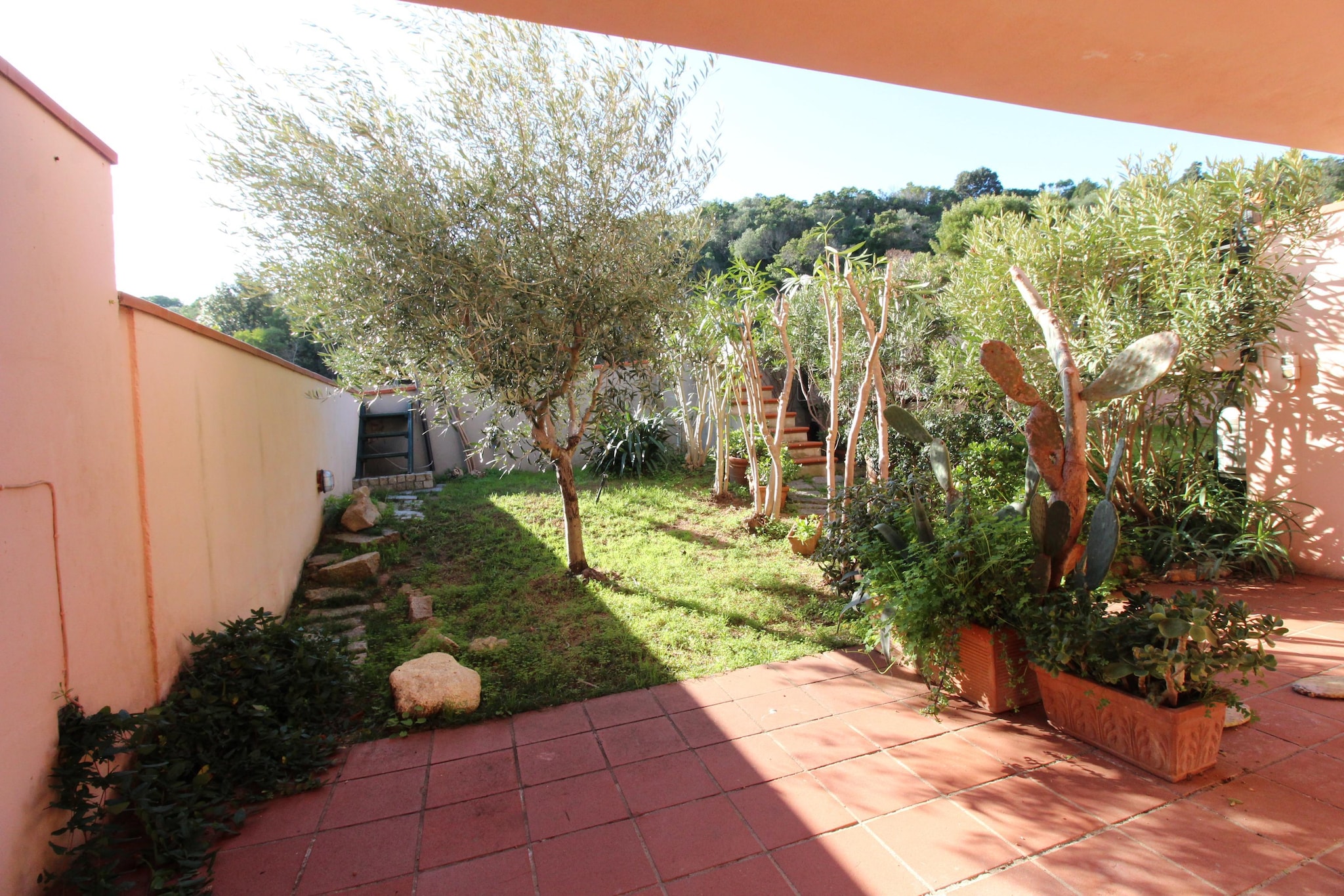 Garden Summer