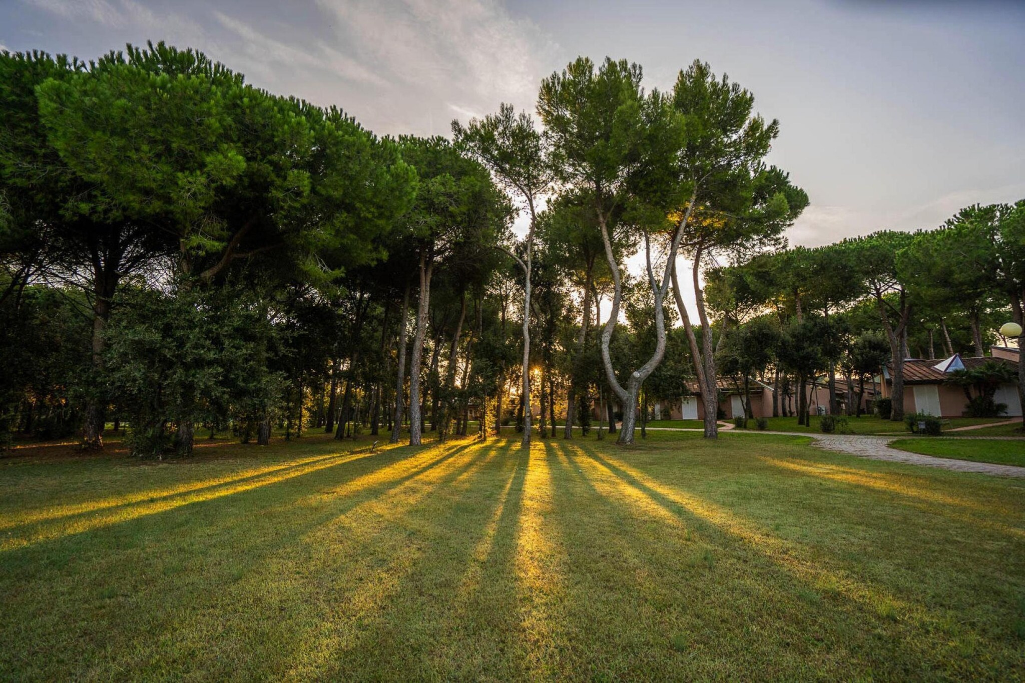 Holiday resort Riva degli Etruschi San Vincenzo-Ville Medium Trilo-VERDELLO 200 m dal mare-Tuinen zomer
