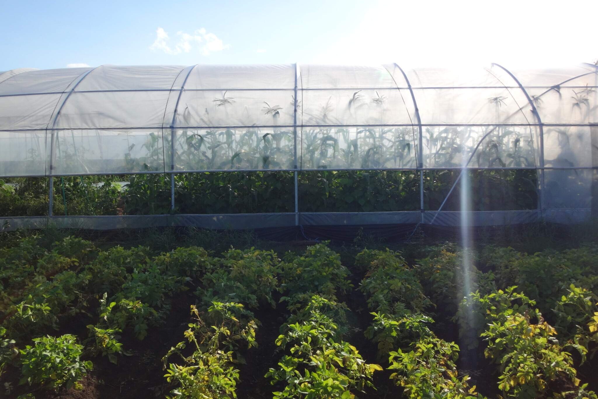 4 person holiday home in HÃ–KERUM-By Traum