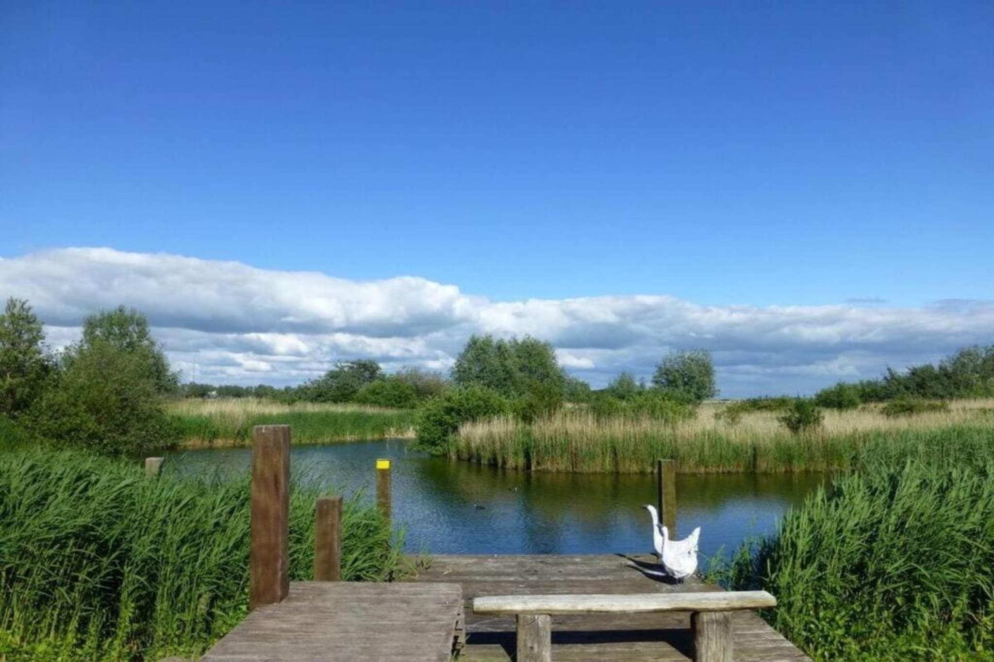Beach Resort Makkum 35-Gebieden zomer 5km