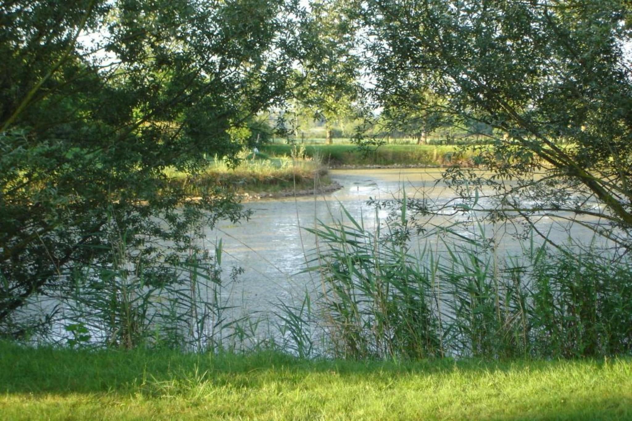 Appartement avec piscine-Gebieden zomer 20km