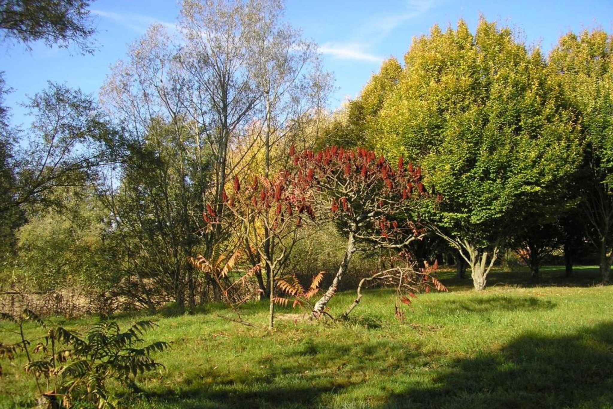 Appartement avec piscine-Gebieden zomer 20km