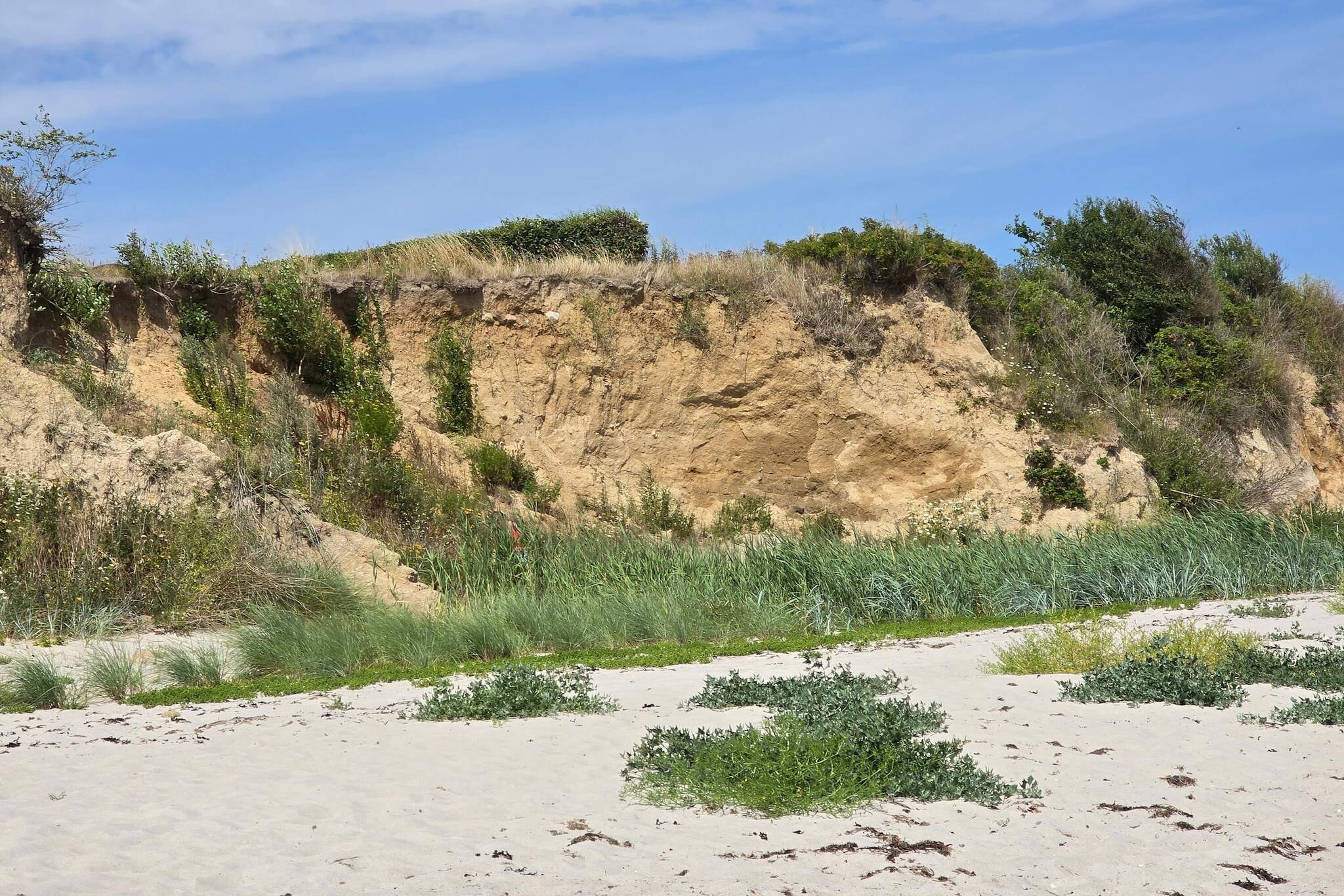 Familie strand retraite -- By Traum Ferienwohnungen-Niet-getagd