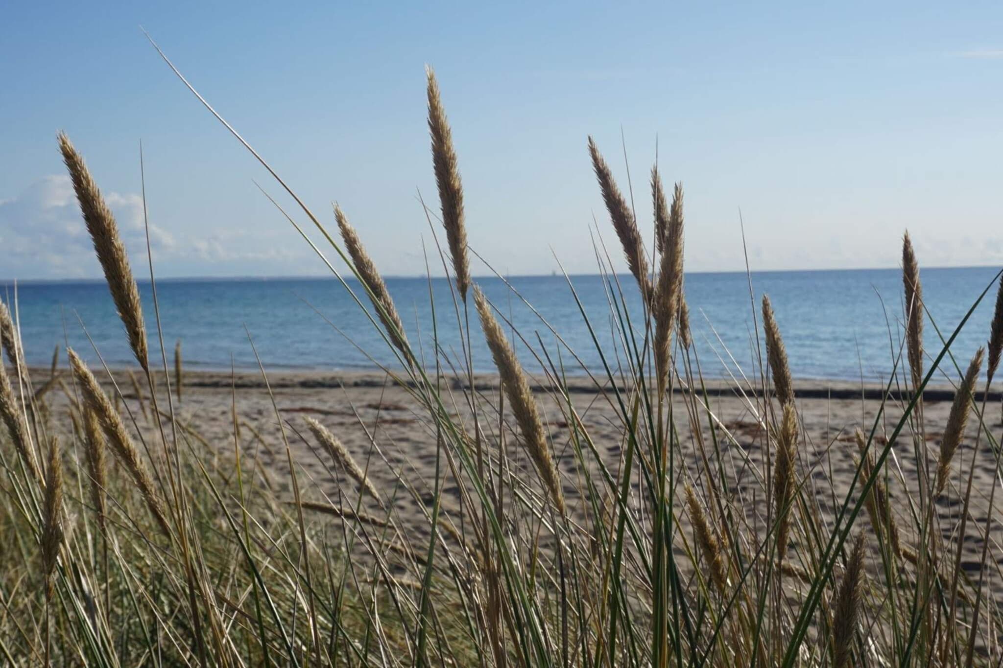 Familie strand retraite -- By Traum Ferienwohnungen-Waterzicht