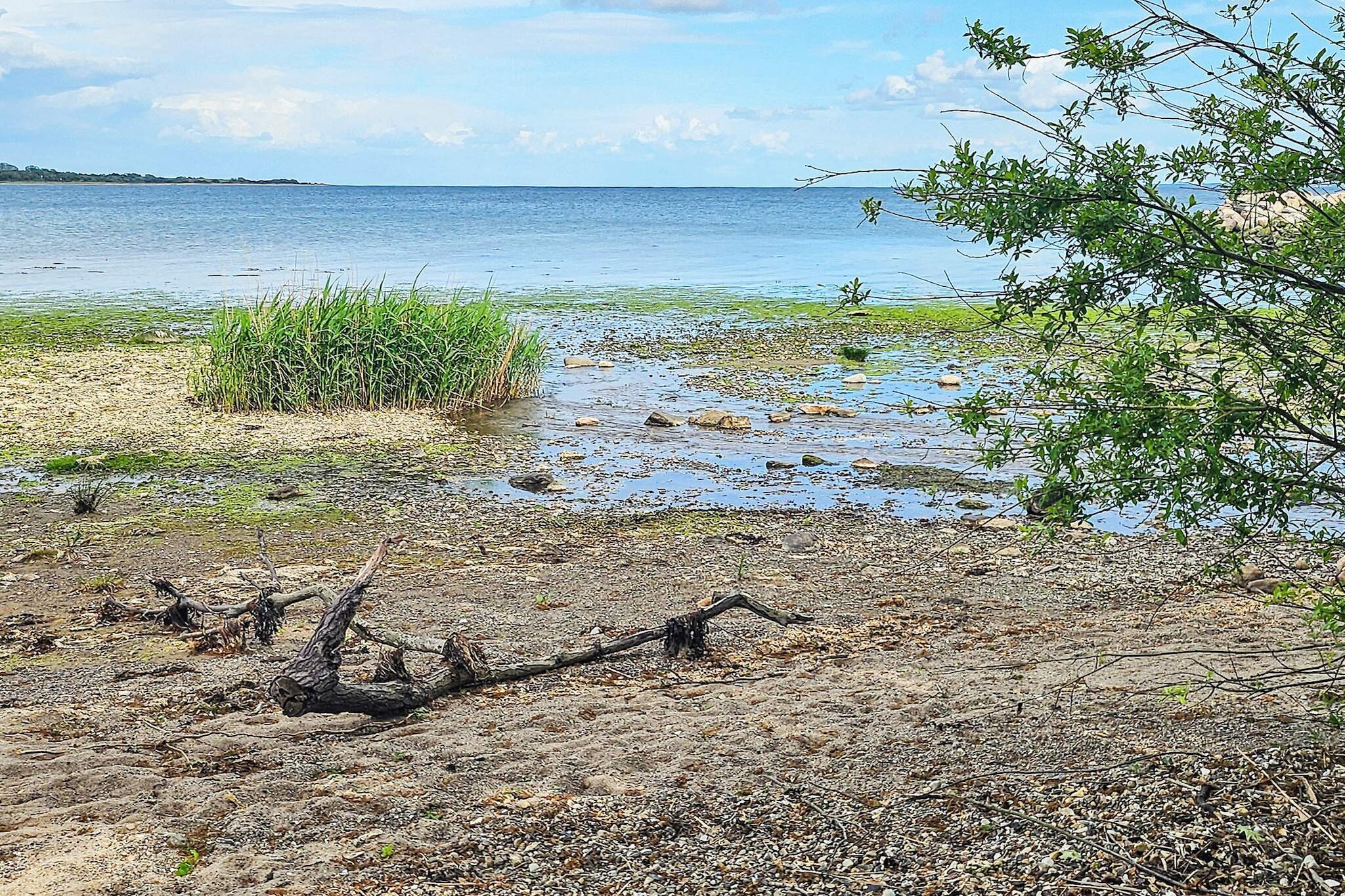 6 Personen Ferienhaus in Aabenraa-By Traum-Wasserblick
