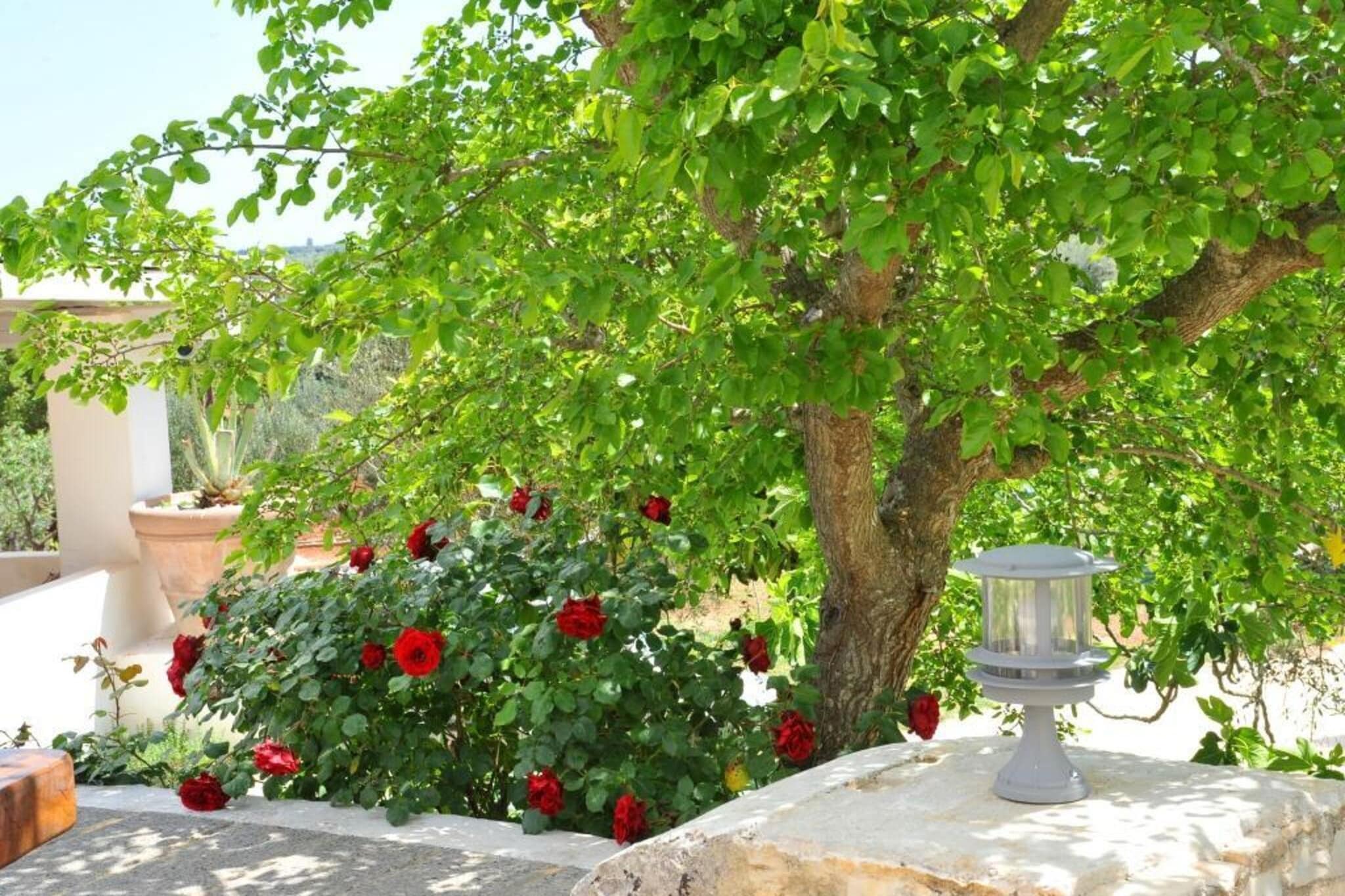 Tenuta Bianca Ostuni-Jardin d'été