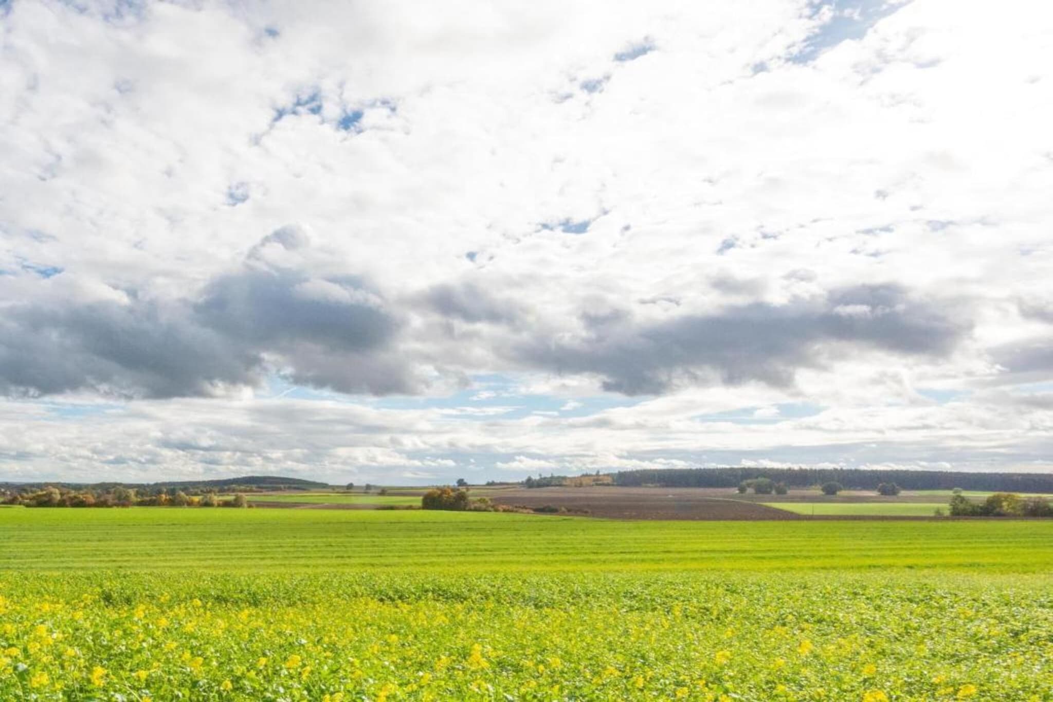 Ferienwohnung Haunsheim - rechts & links-Gebieden zomer 20km