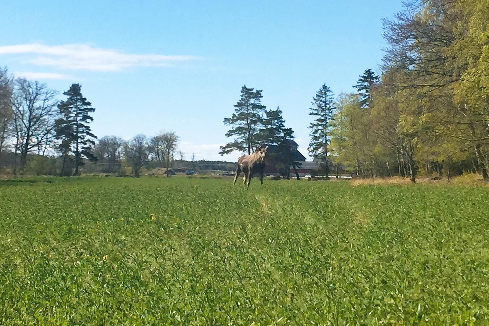 6 persoons vakantie huis in LIDKÖPING-By Traum - Niet-getagd