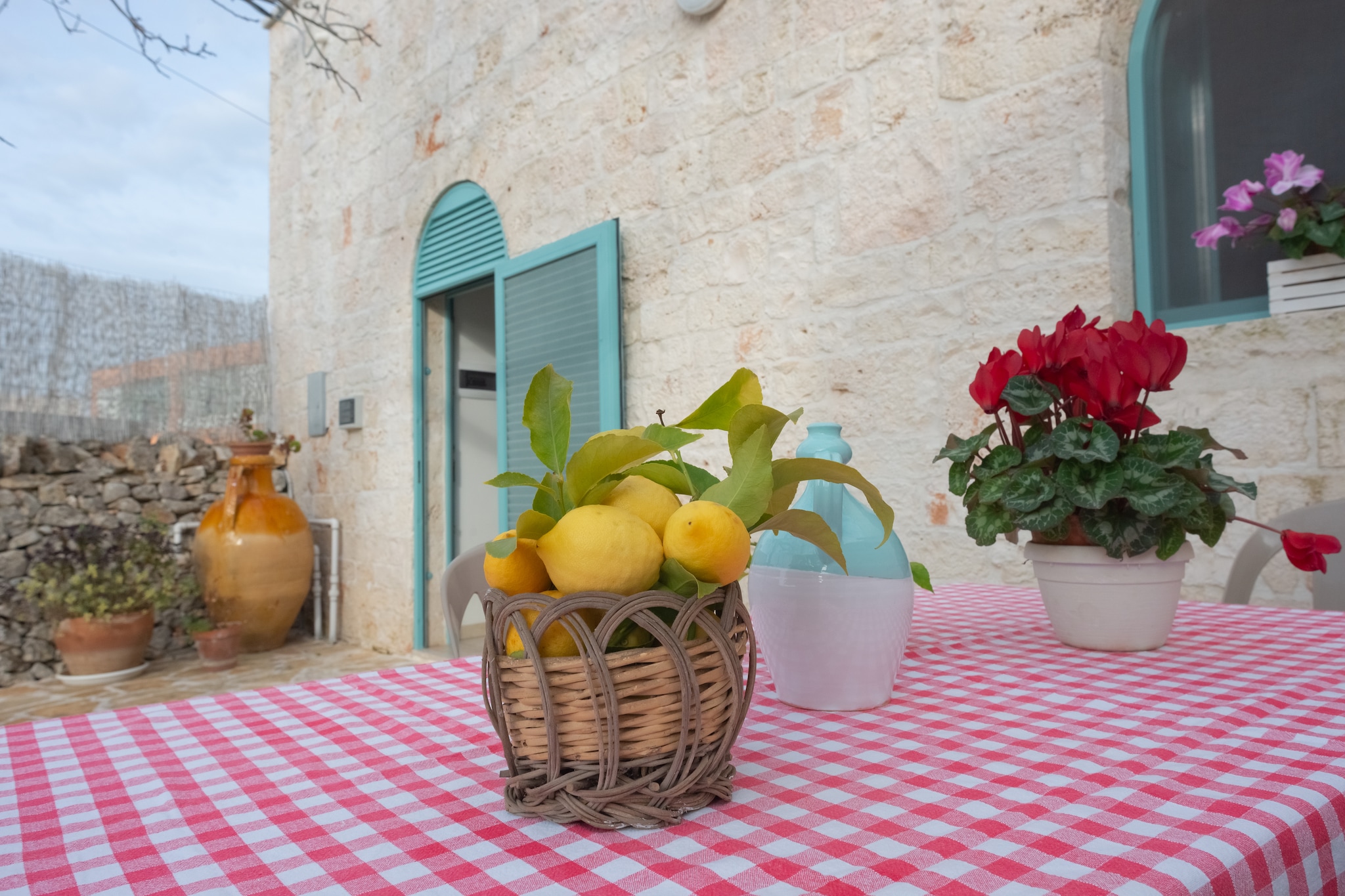 Terrace Balcony