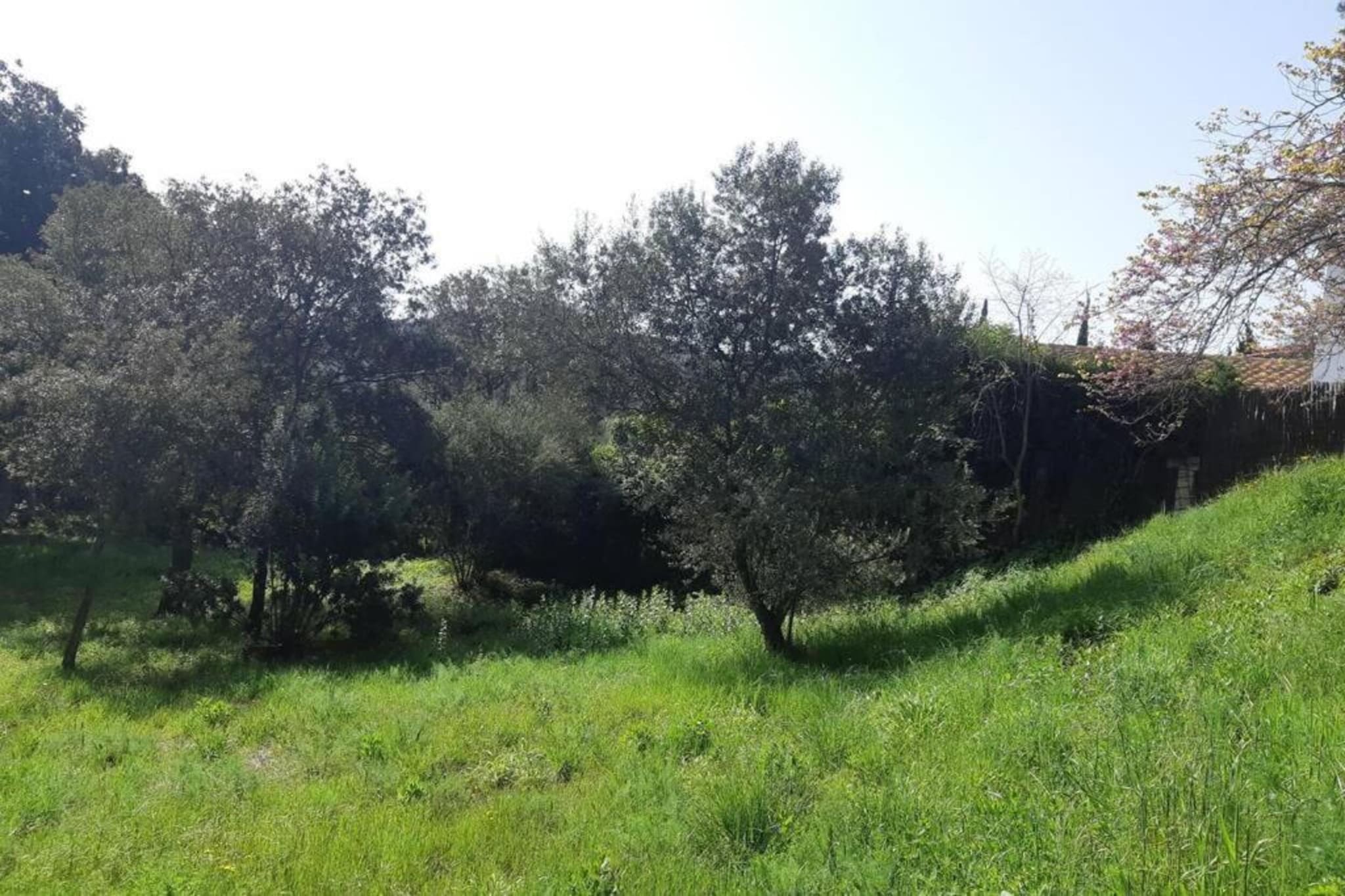 Resort Begur 4-Areas summer 20km