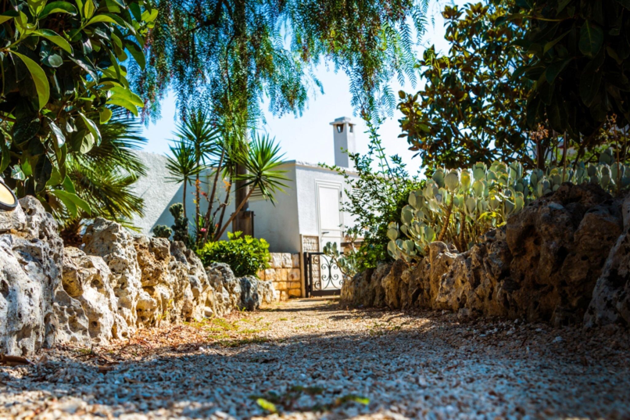 Trullo Cittadino Cisternino-Tuinen zomer