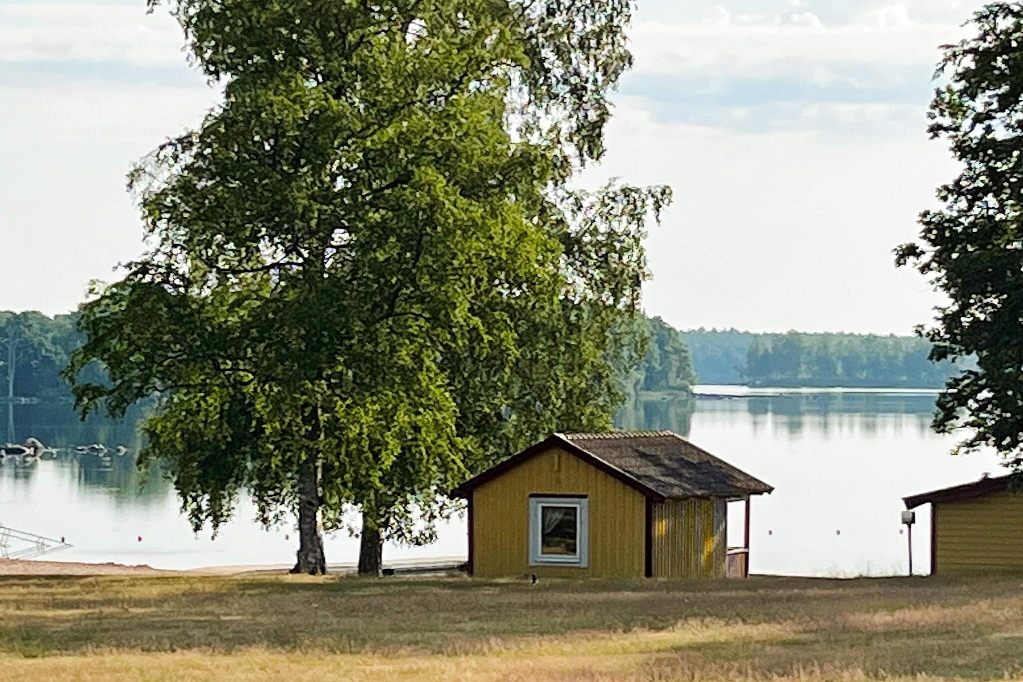 Water View