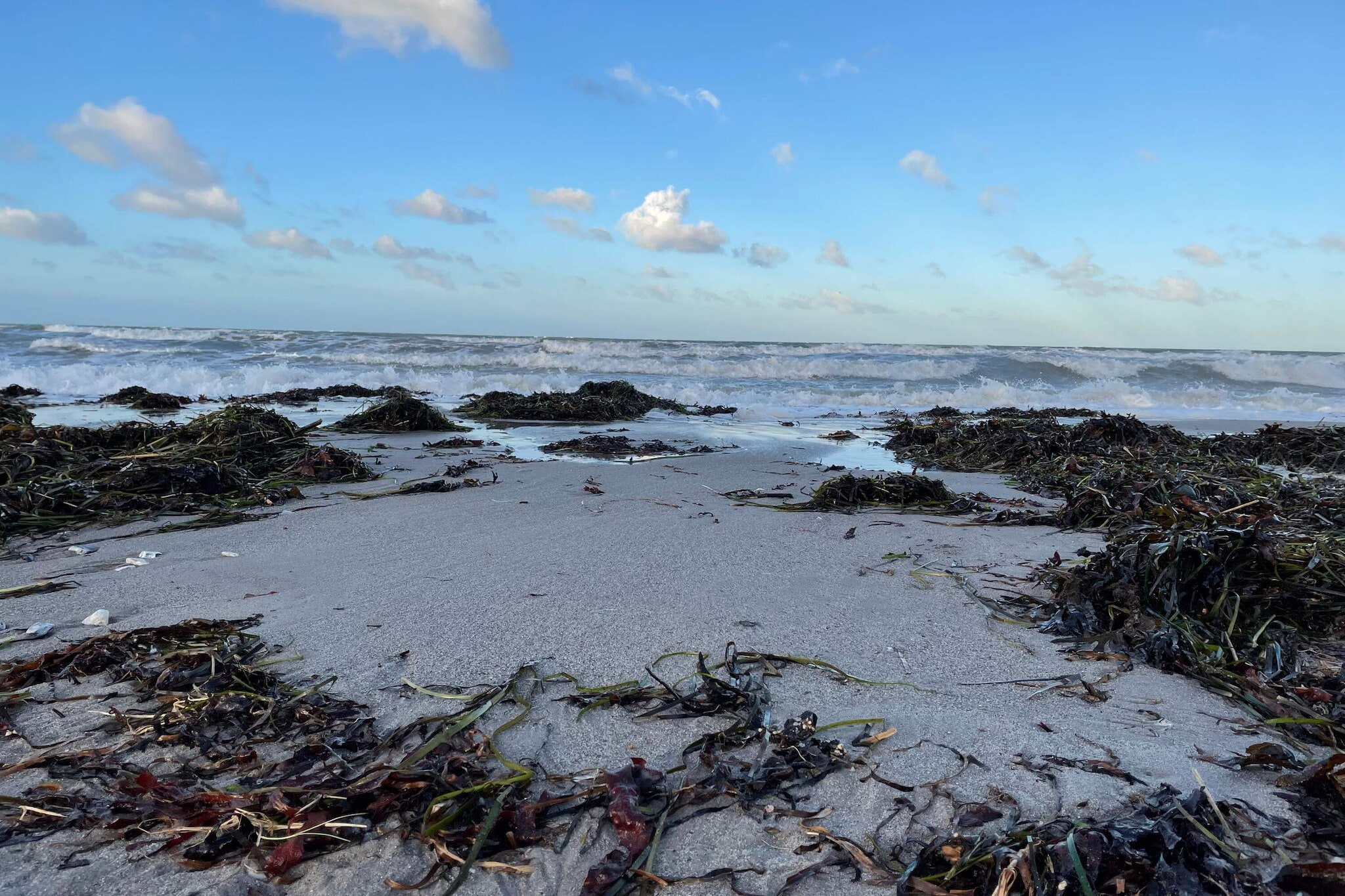 6 persoons vakantie huis in Slagelse-Waterzicht