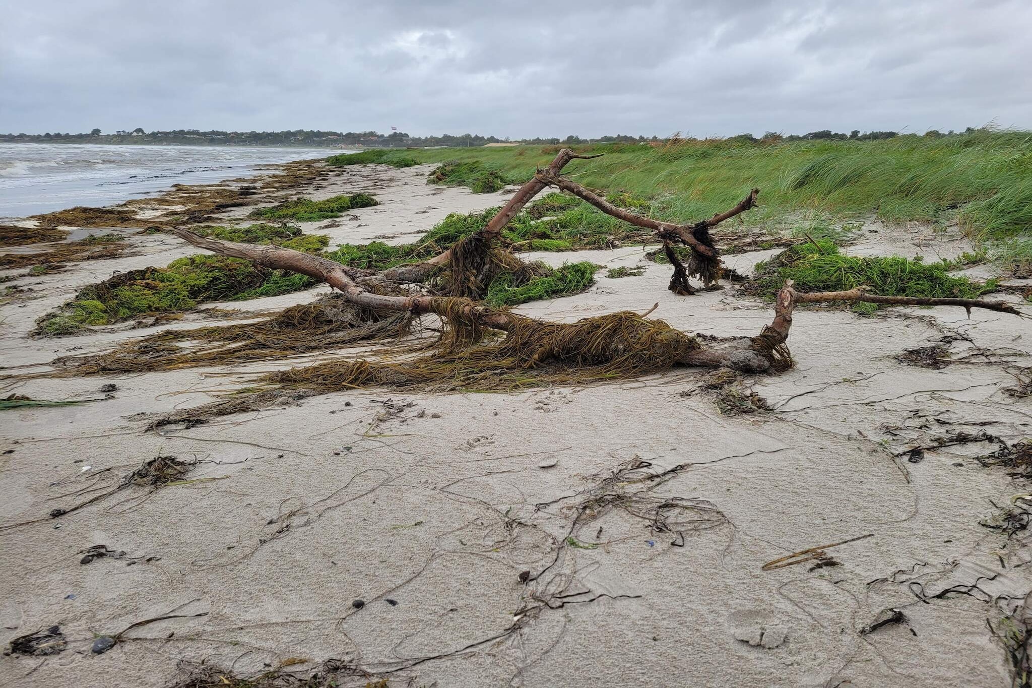 6 persoons vakantie huis in Slagelse-Waterzicht