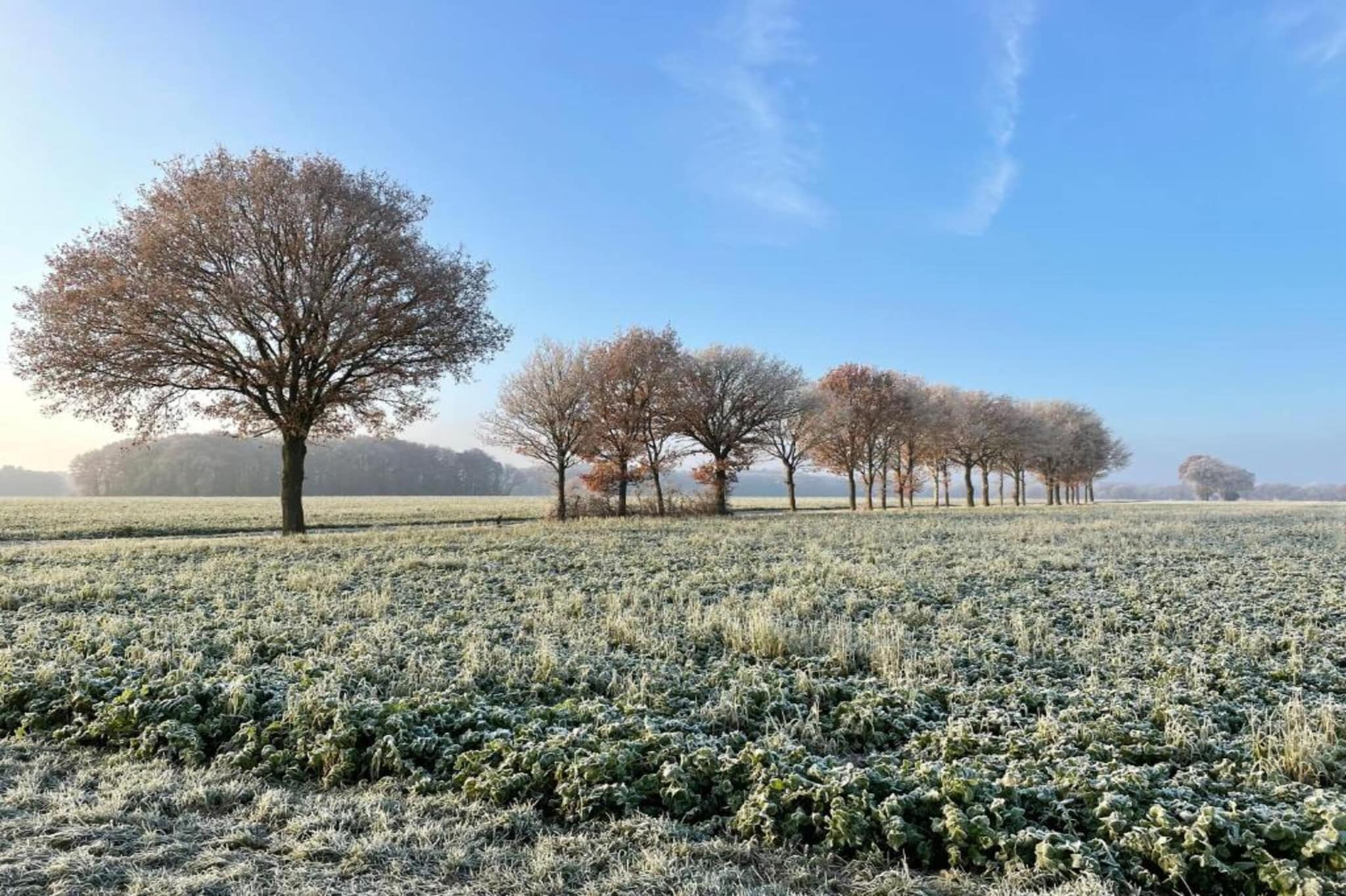 Glamping Resort Lauwersmeer 2-Gebieden zomer 20km