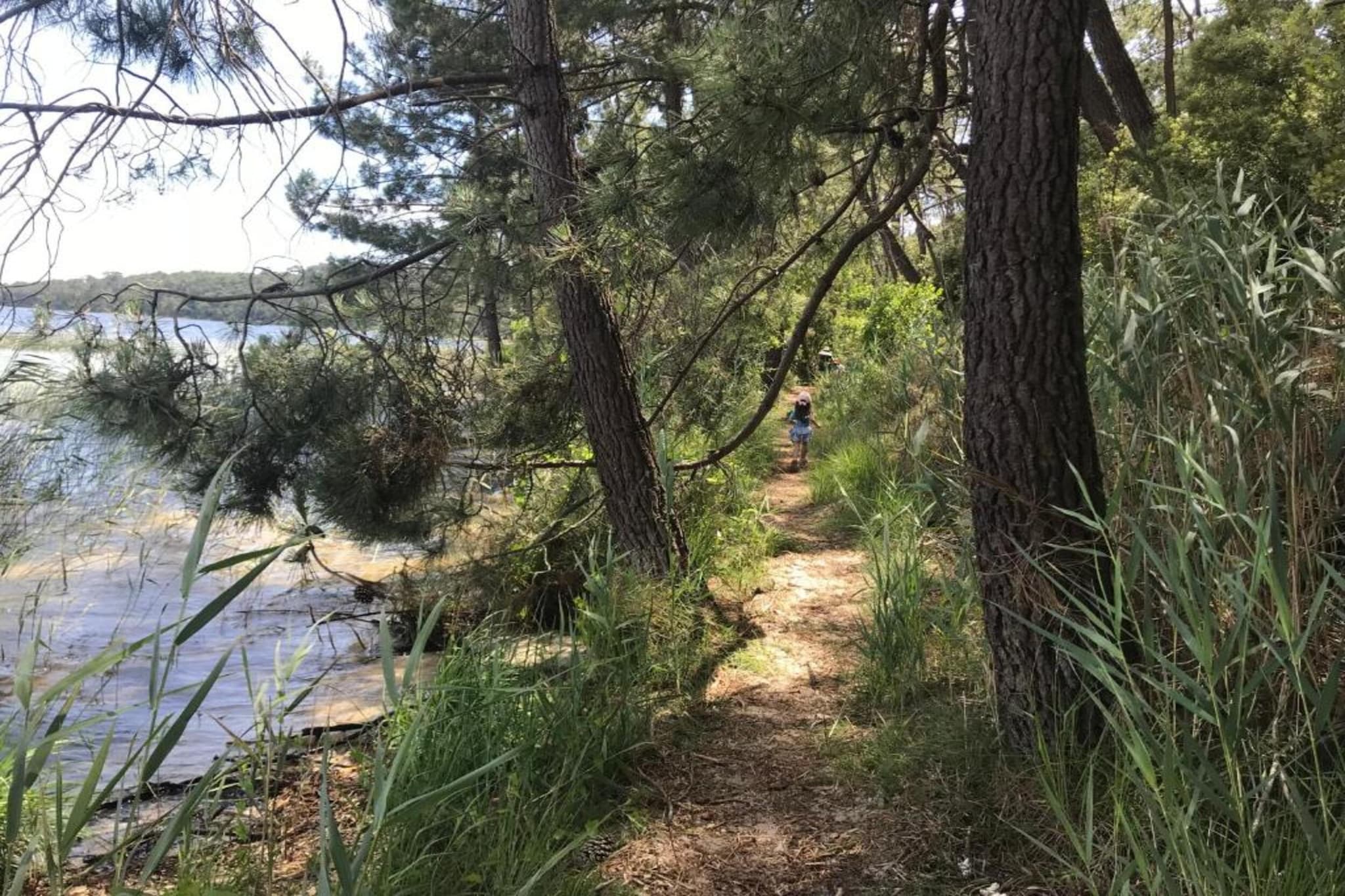 Résidence Le Petit Pont 3-Gebieden zomer 1km