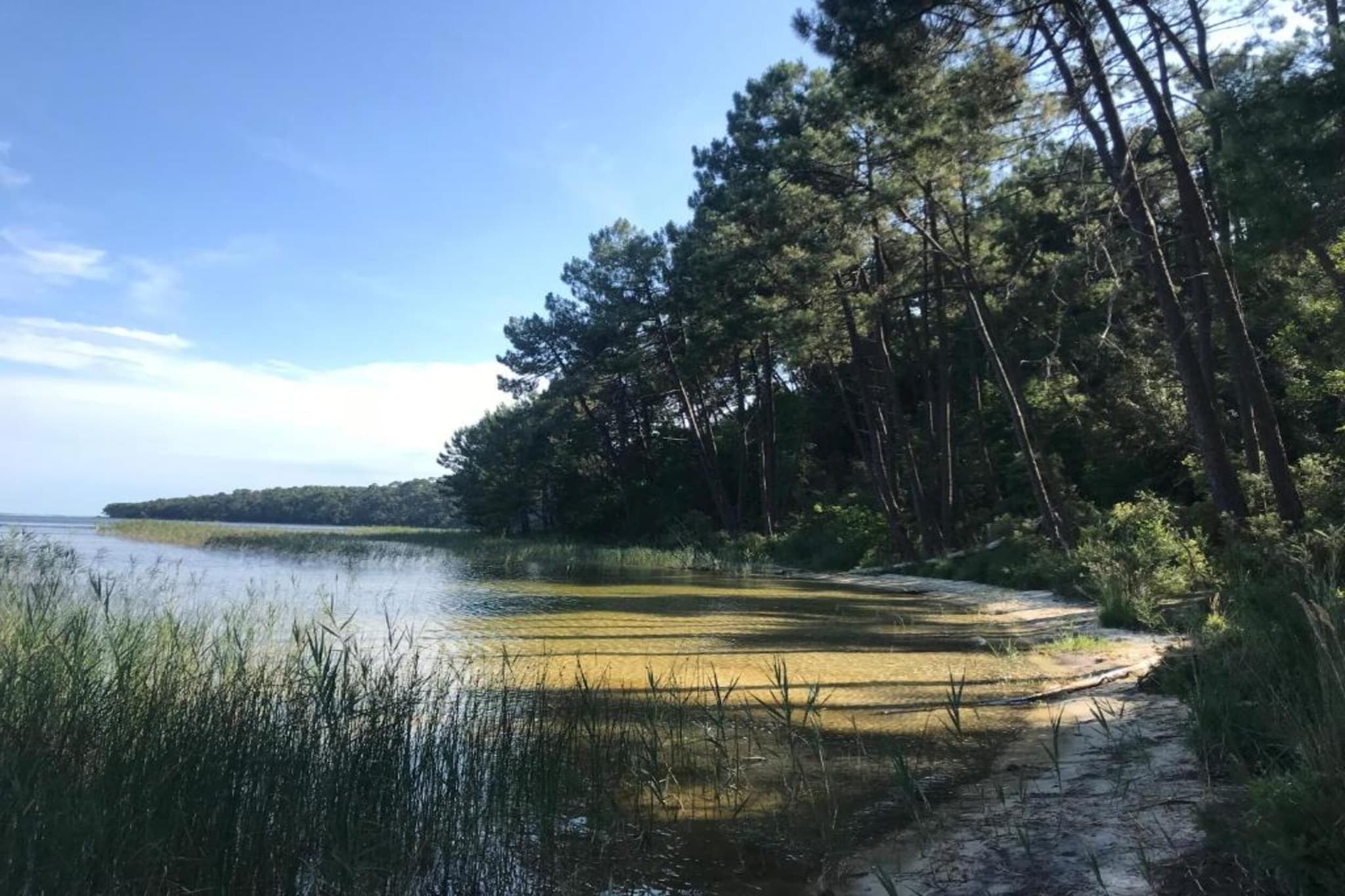 Résidence Le Petit Pont 3-Gebieden zomer 1km