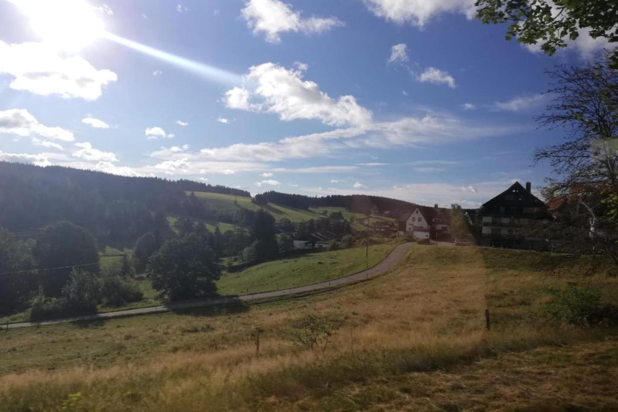 Collegezicht-Gebieden zomer 20km