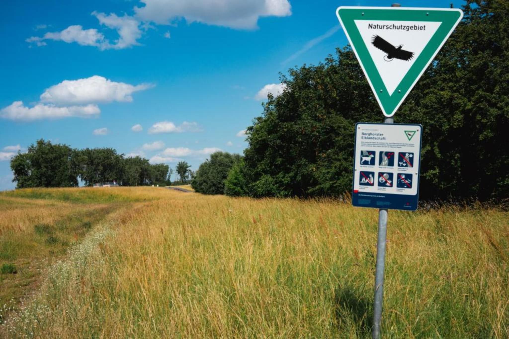 Collegezicht-Gebieden zomer 20km