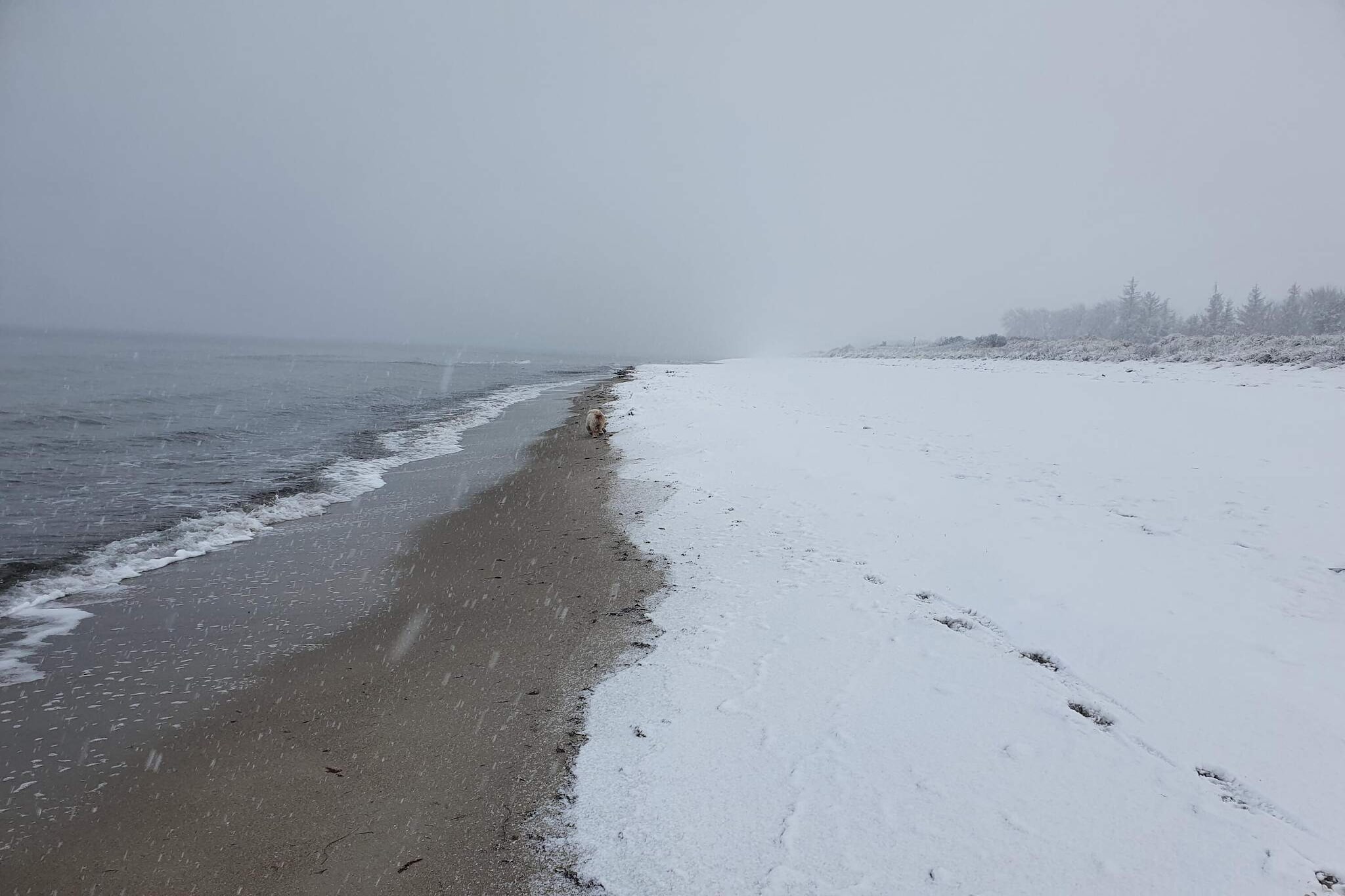 Licht vakantiehuis met spa -- By Traum Ferienwohnungen-Waterzicht