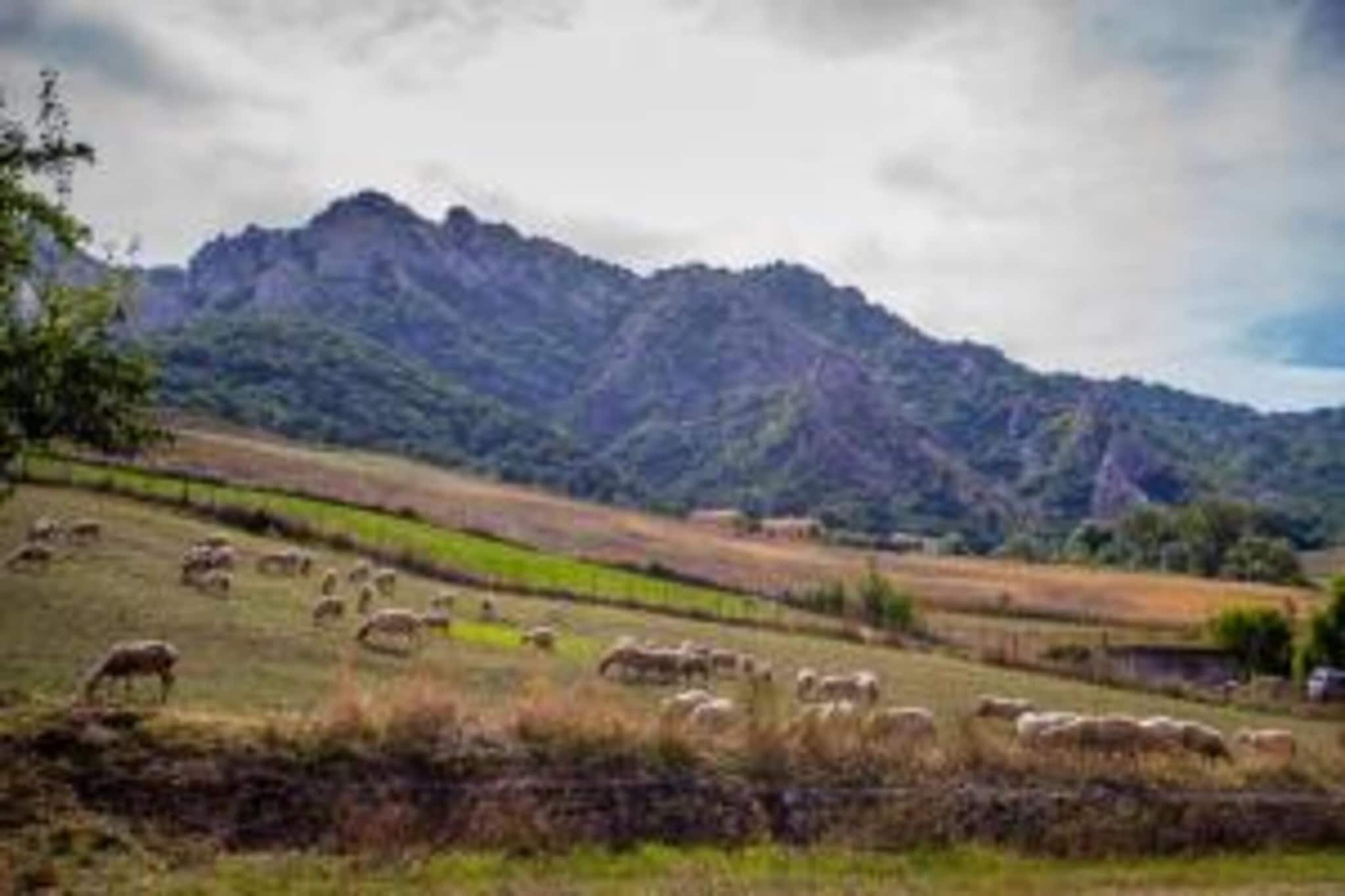 La Foresteria di San Leo-Areas summer 20km