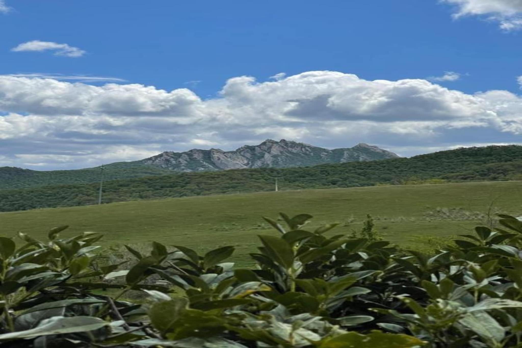 La Foresteria di San Leo-Areas summer 20km
