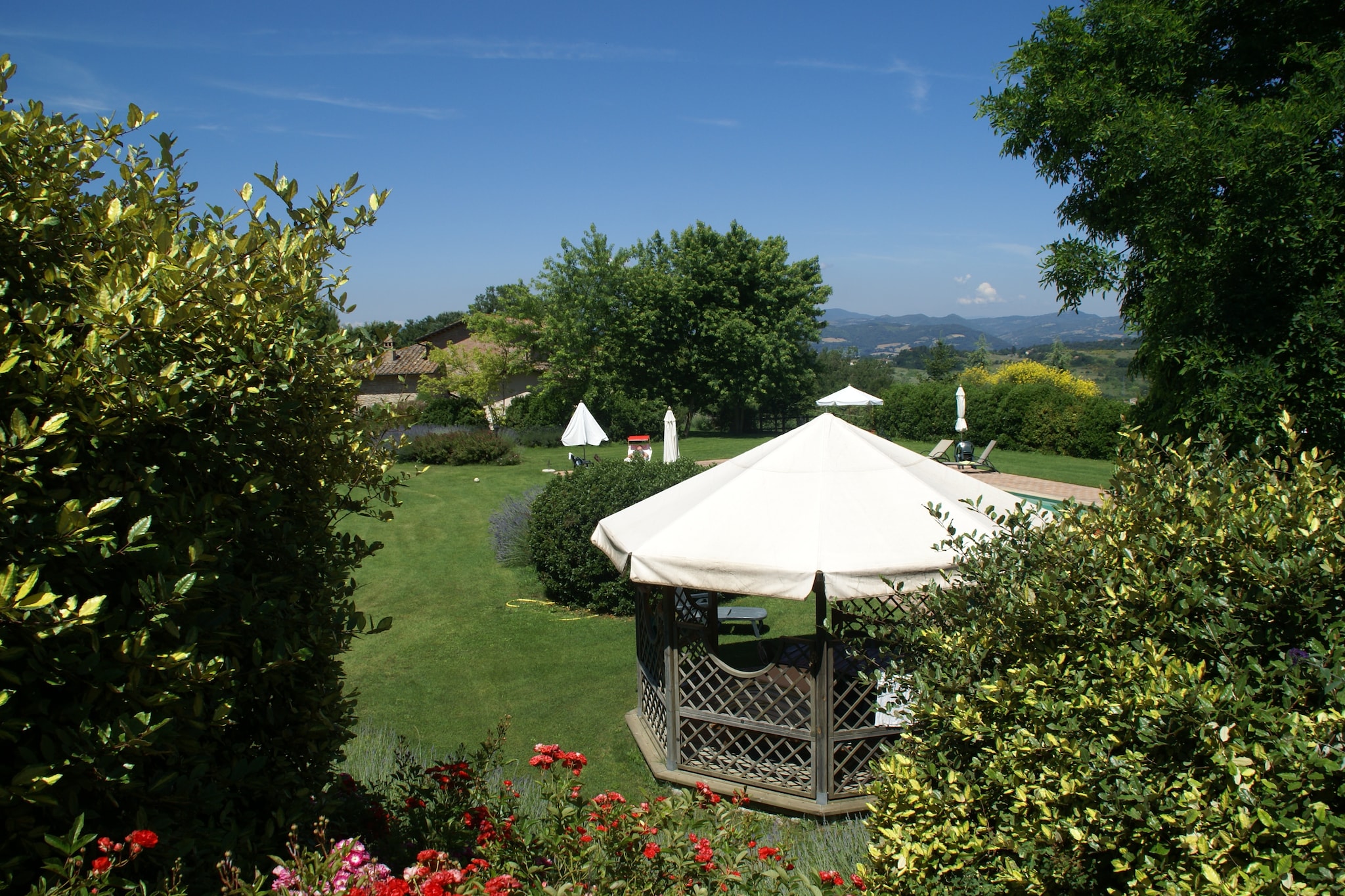Garden Summer