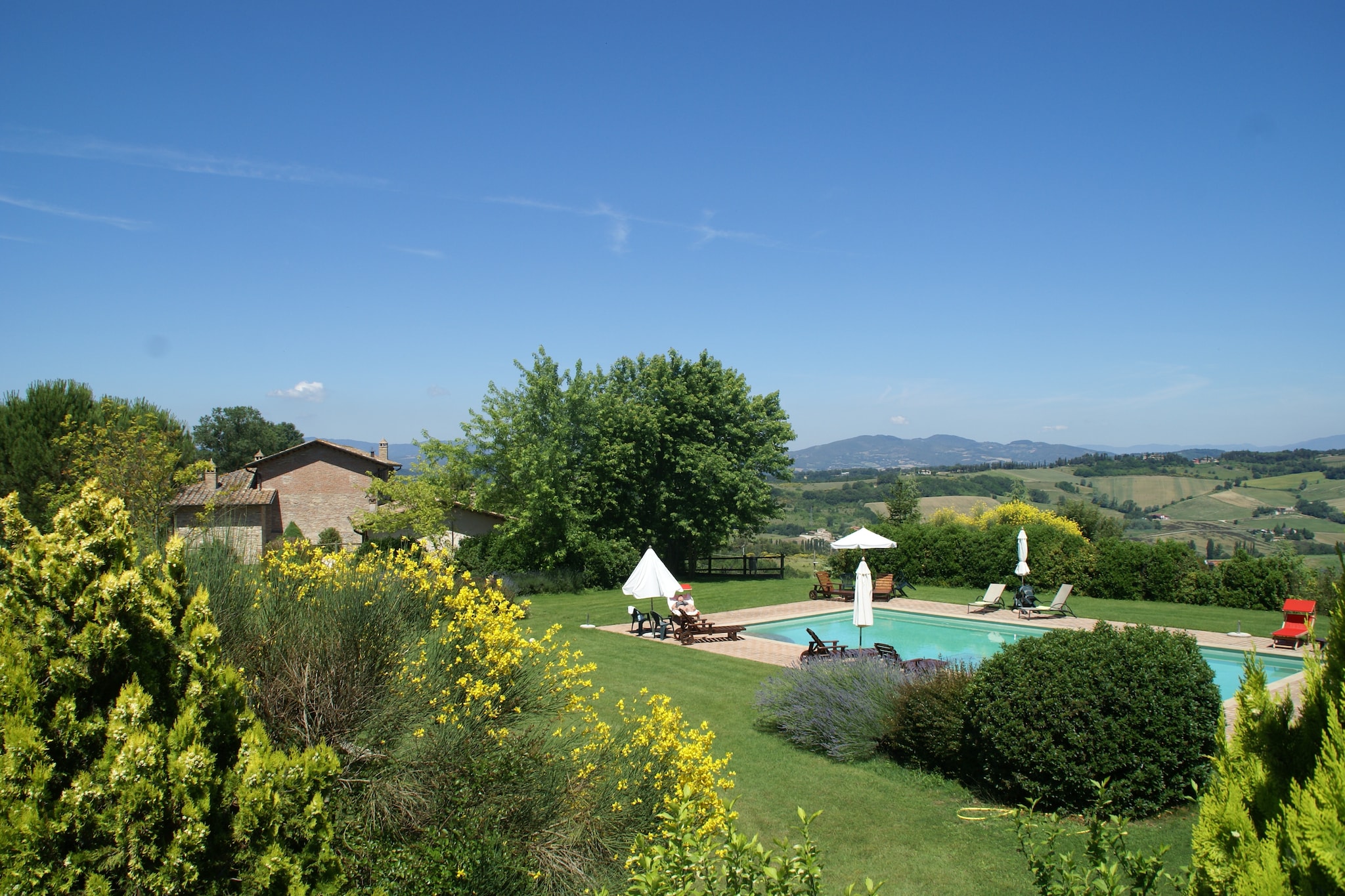 Garden Summer