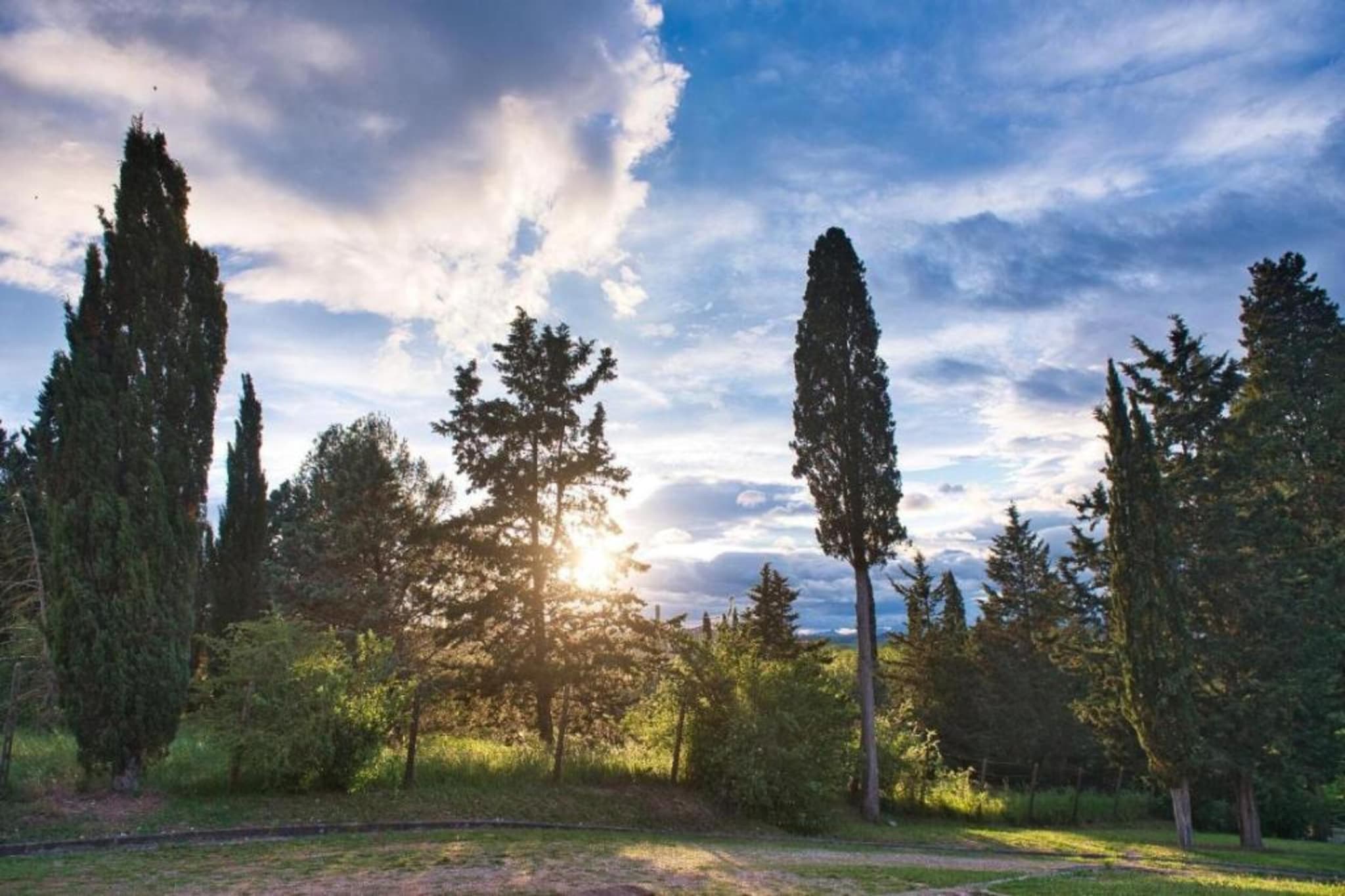 Gaville Cinque-Areas summer 20km