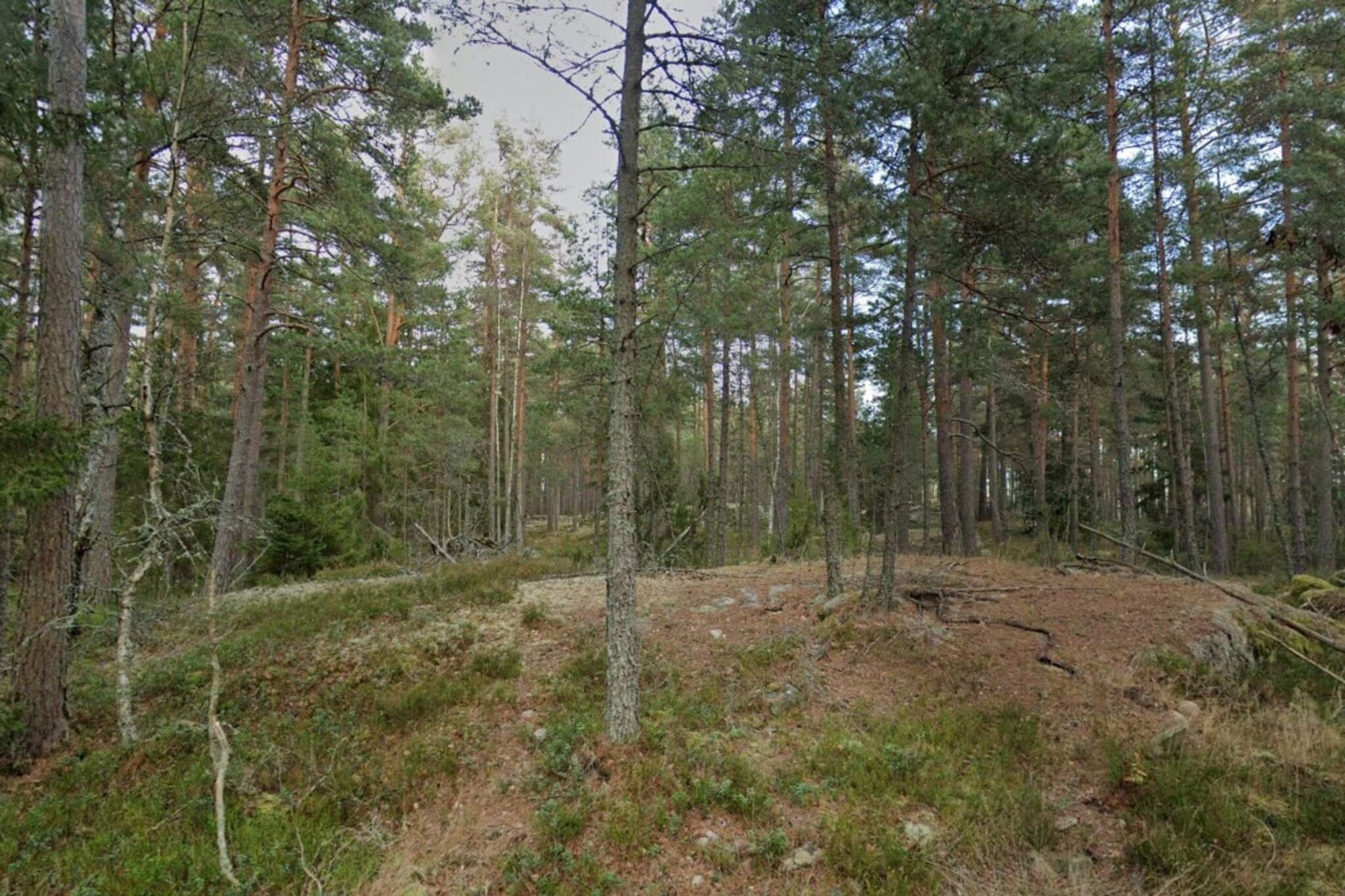 3 persoons vakantie huis in ESKILSTUNA-By Traum-Niet-getagd