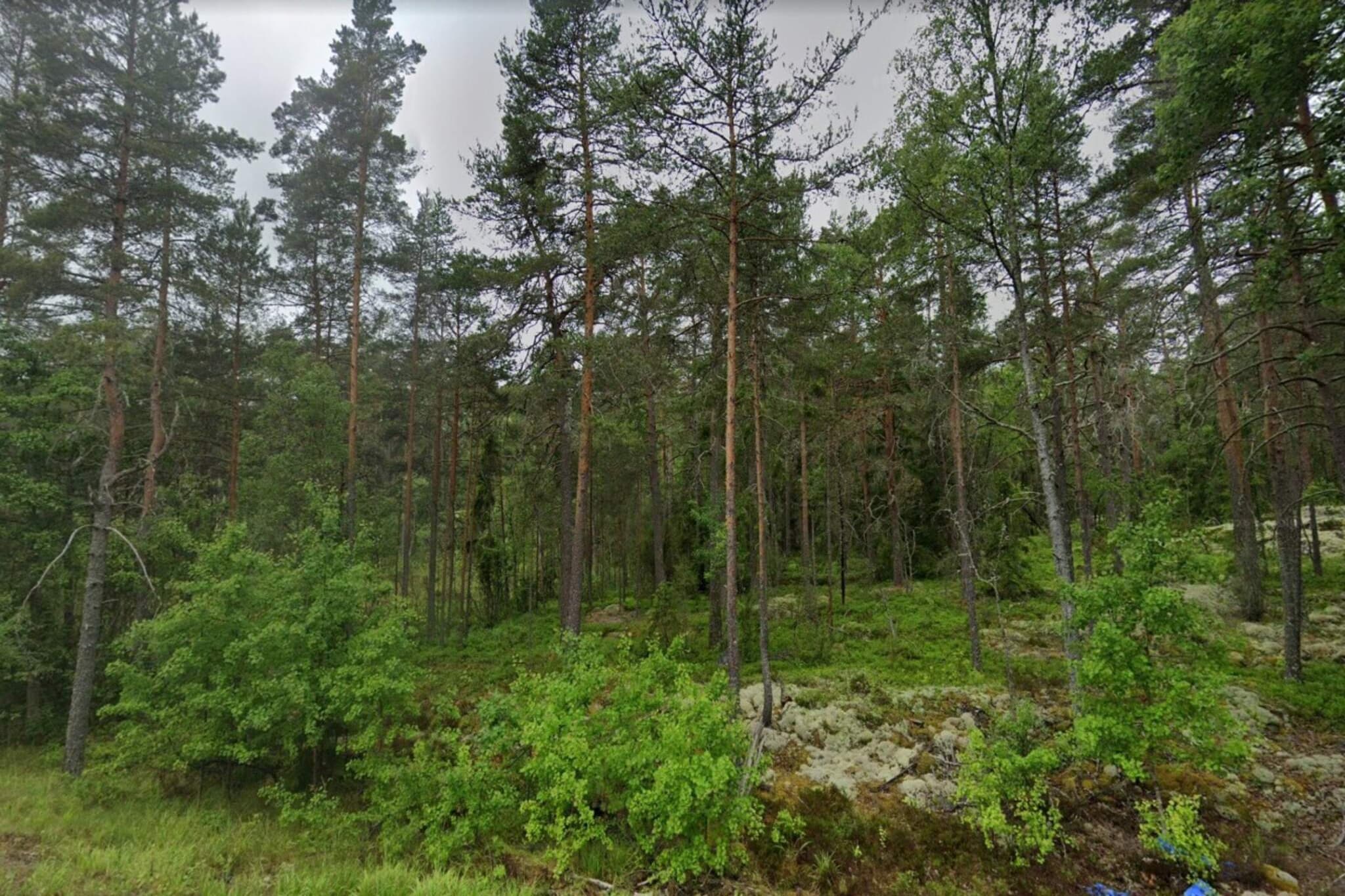 Maison de vacances pour 3 a ESKILSTUNA-By Traum - Non tagué
