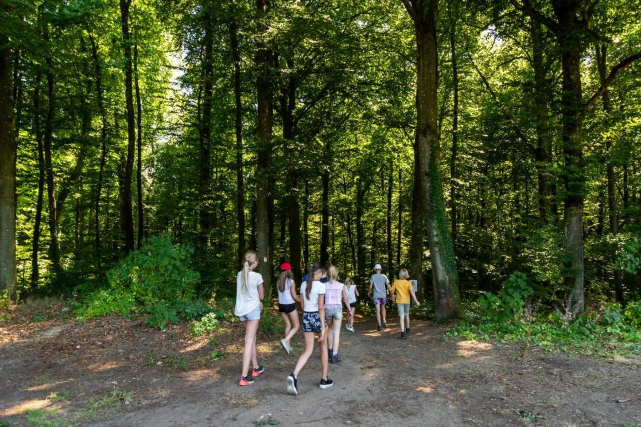 Resort Auf Kengert 1-Gebieden zomer 5km