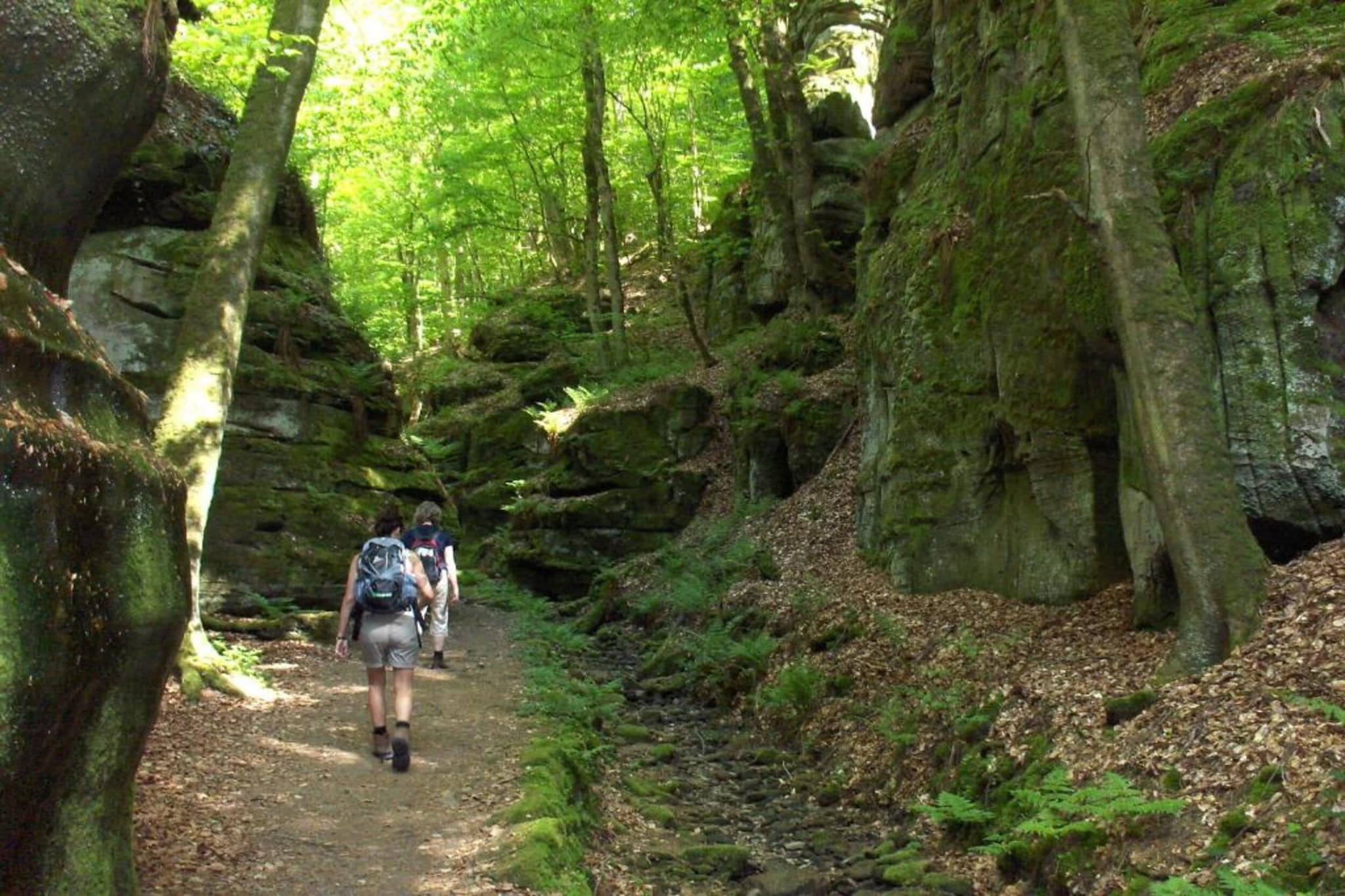 Camping Nommerlayen 1-Gebiete Sommer 20 km