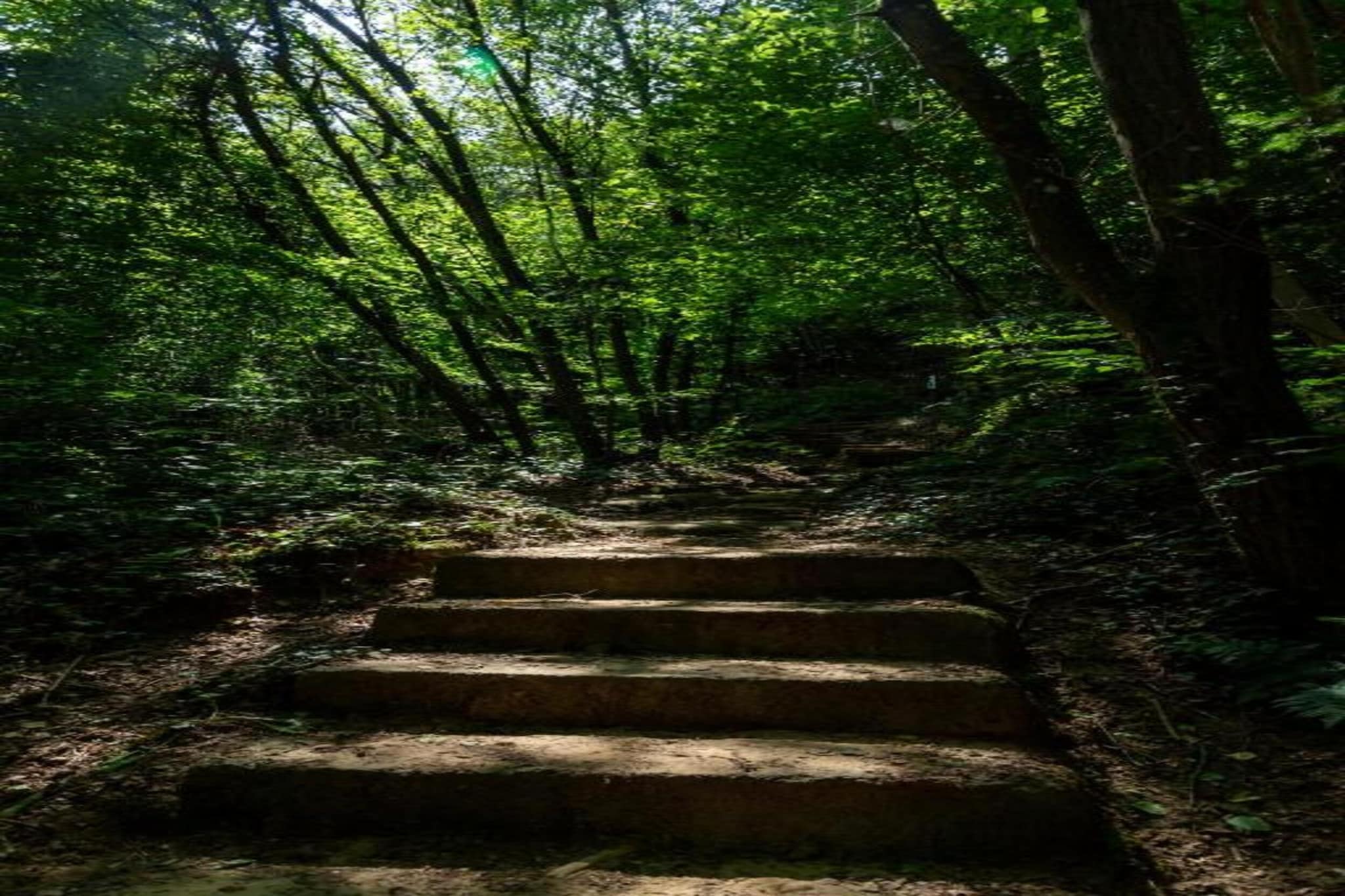 Camping Nommerlayen 1-Gebiete Sommer 20 km