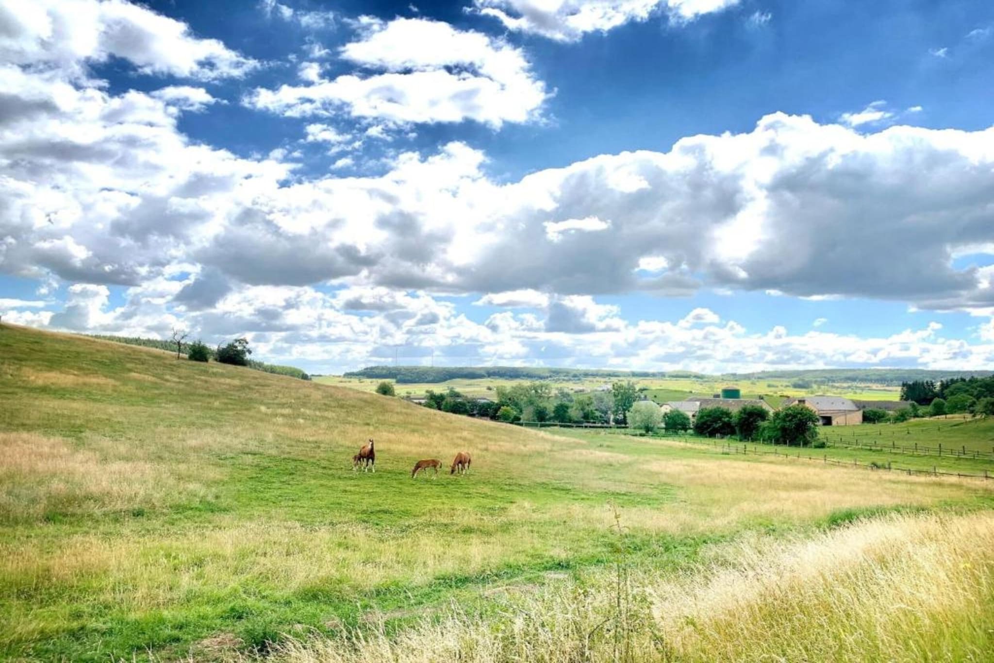 Camping Nommerlayen 1-Gebiete Sommer 20 km